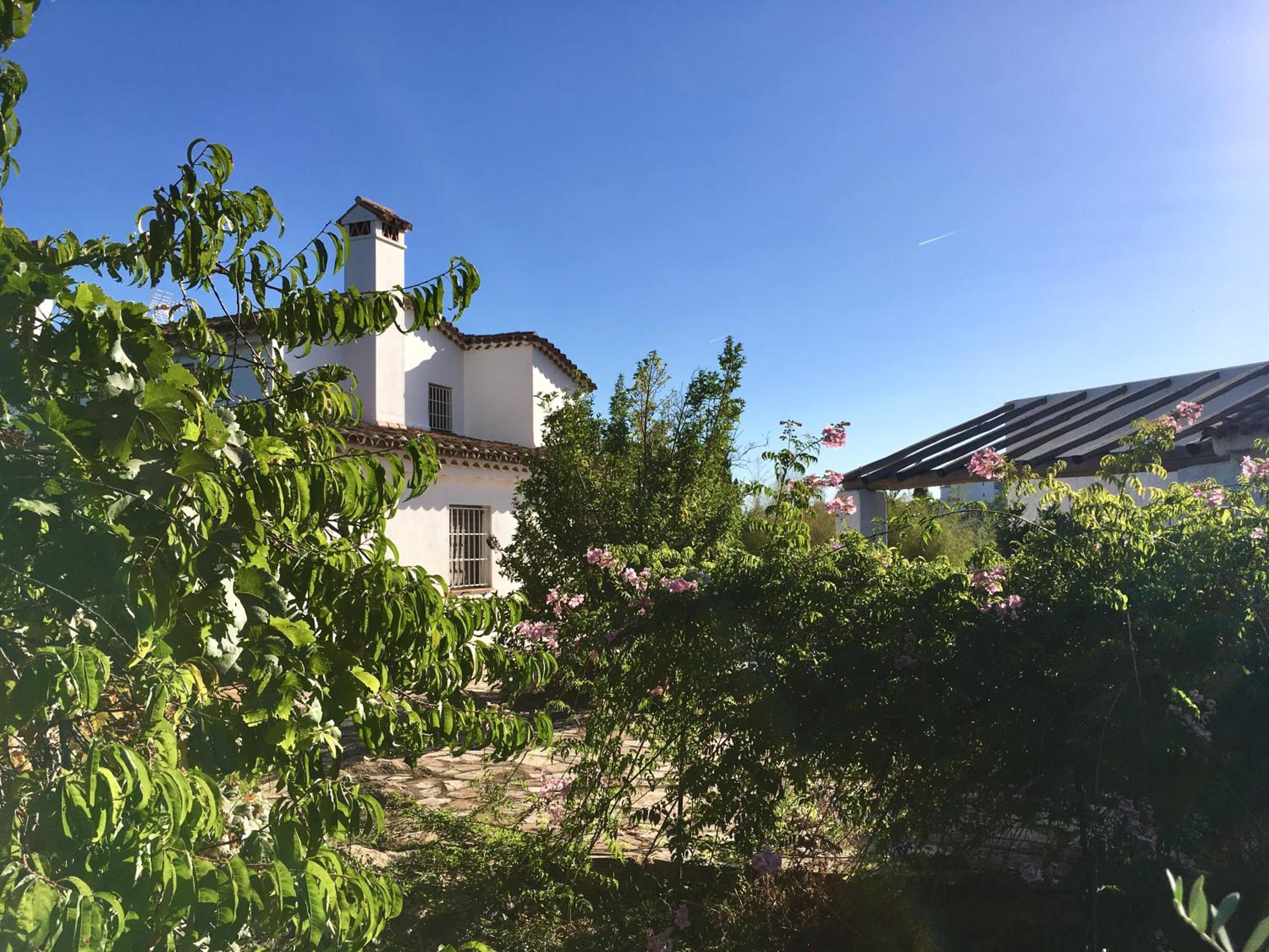 Photo 19