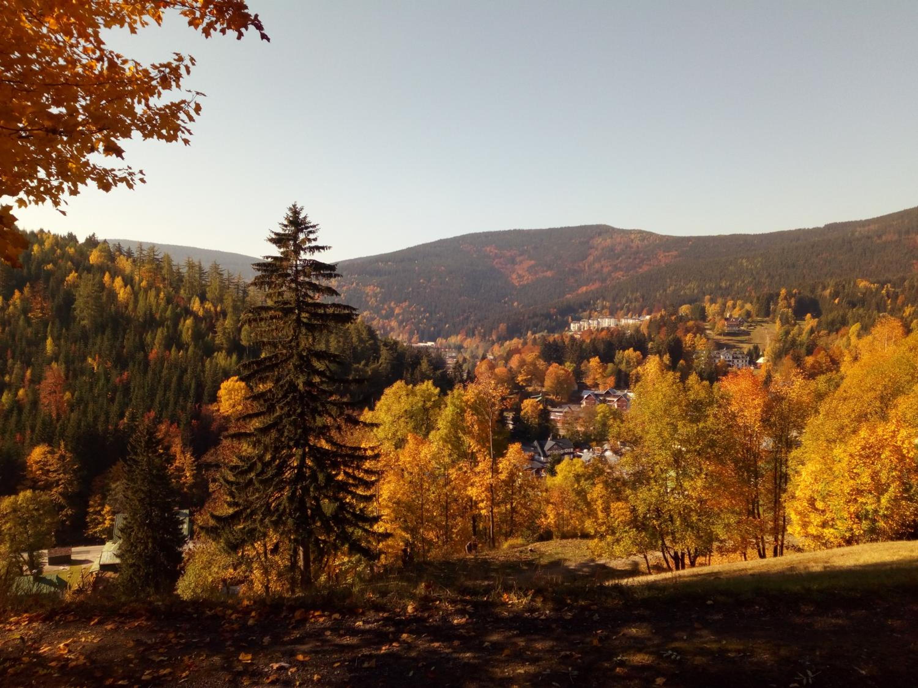 Elisabeth Pension