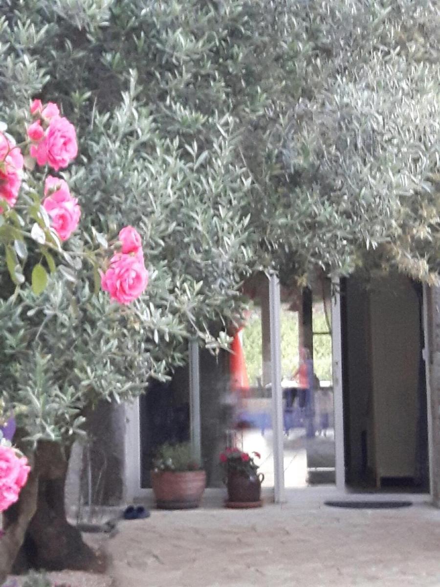 La Vigne Des Heures Claires view 2