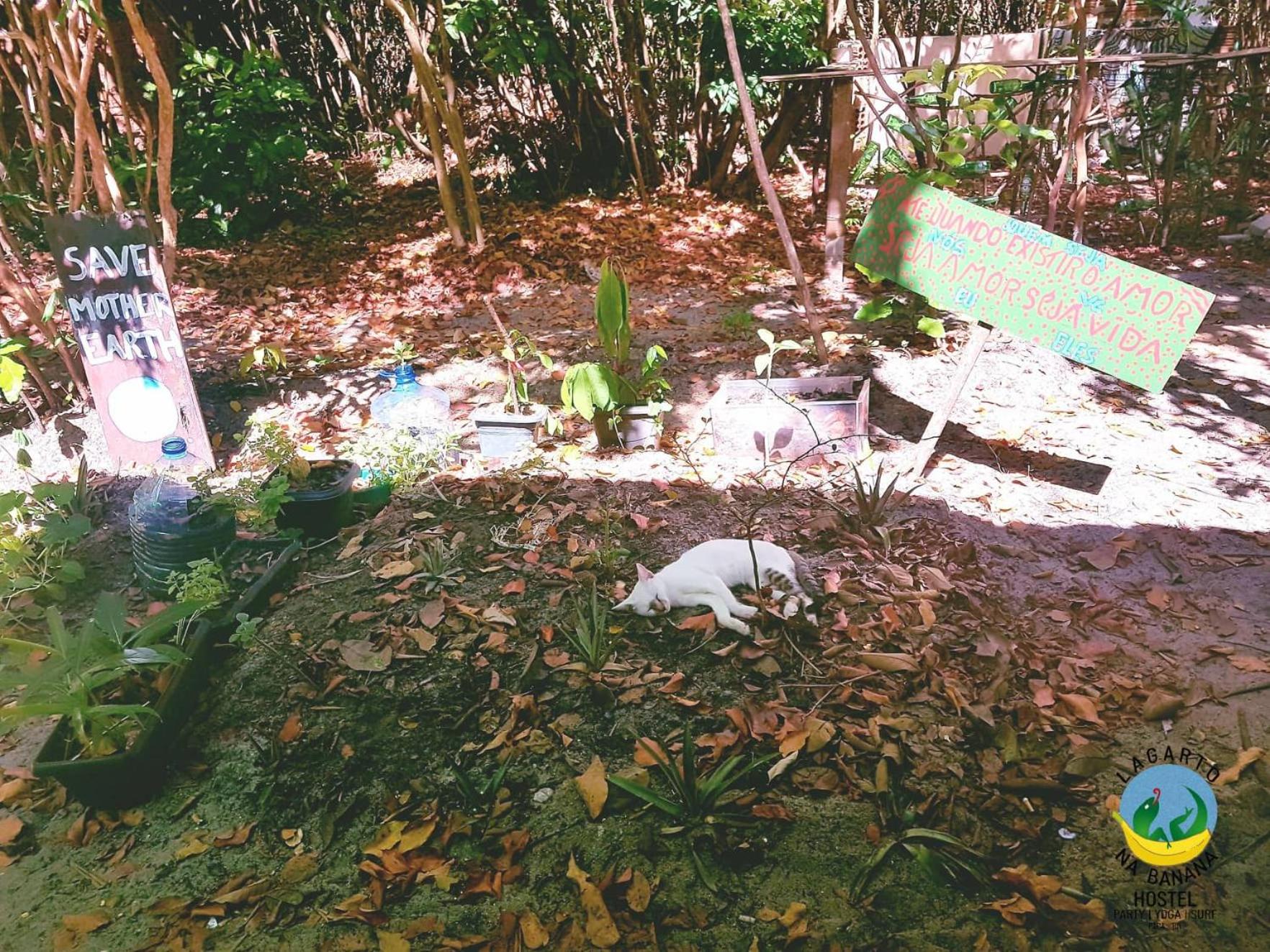 Photo 45