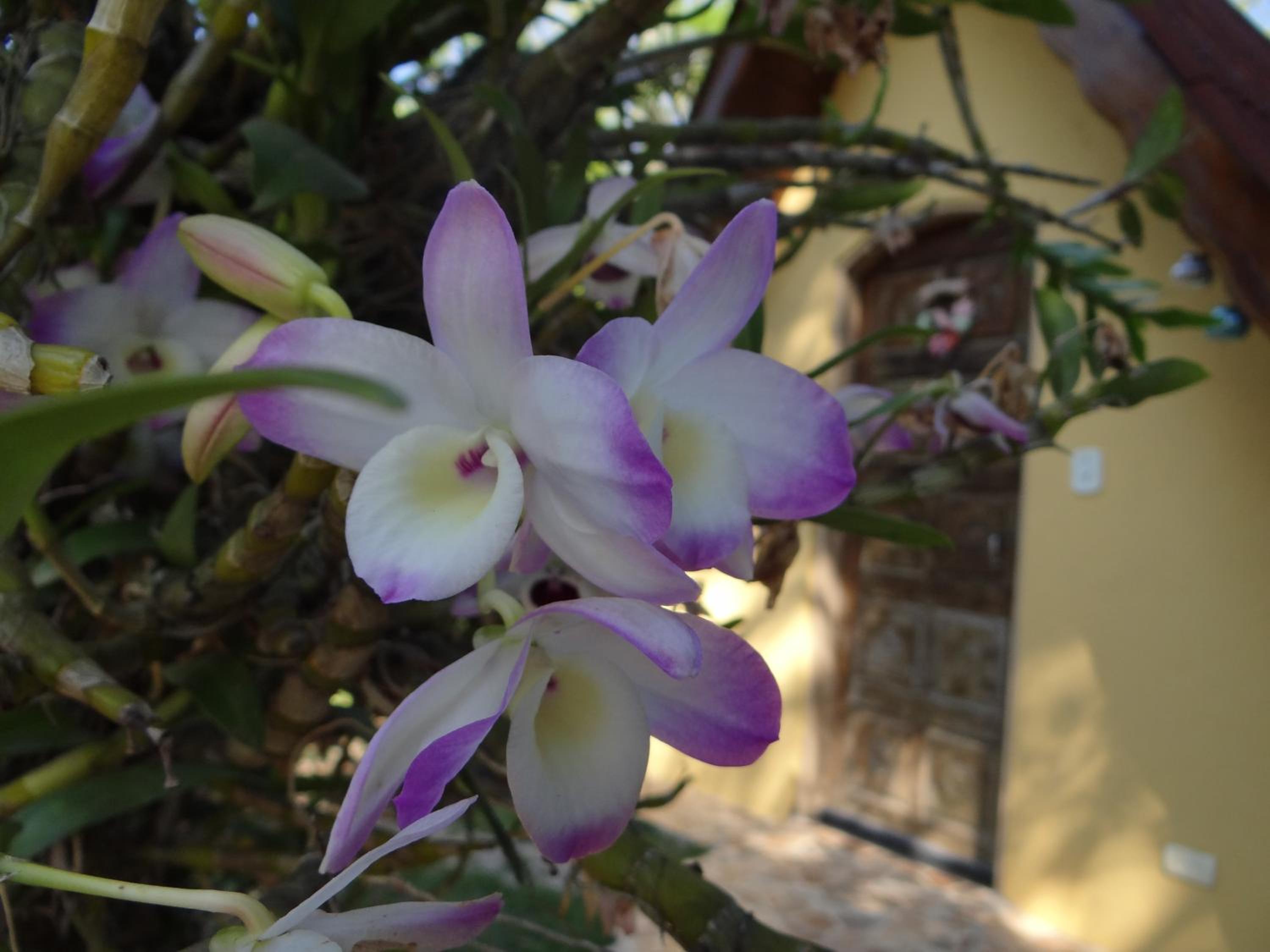 Chalé Rancho Aratama