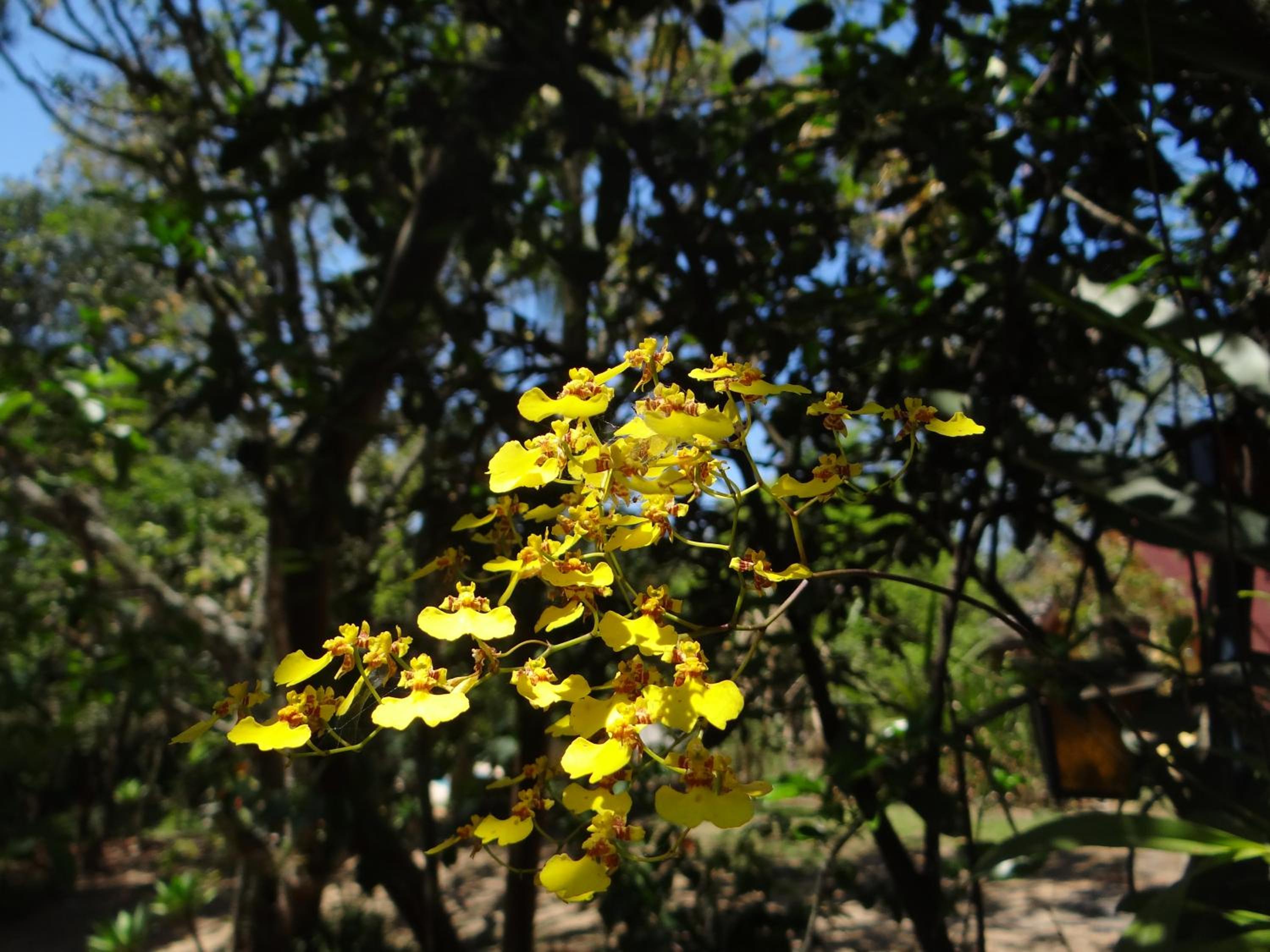 Chalé Rancho Aratama