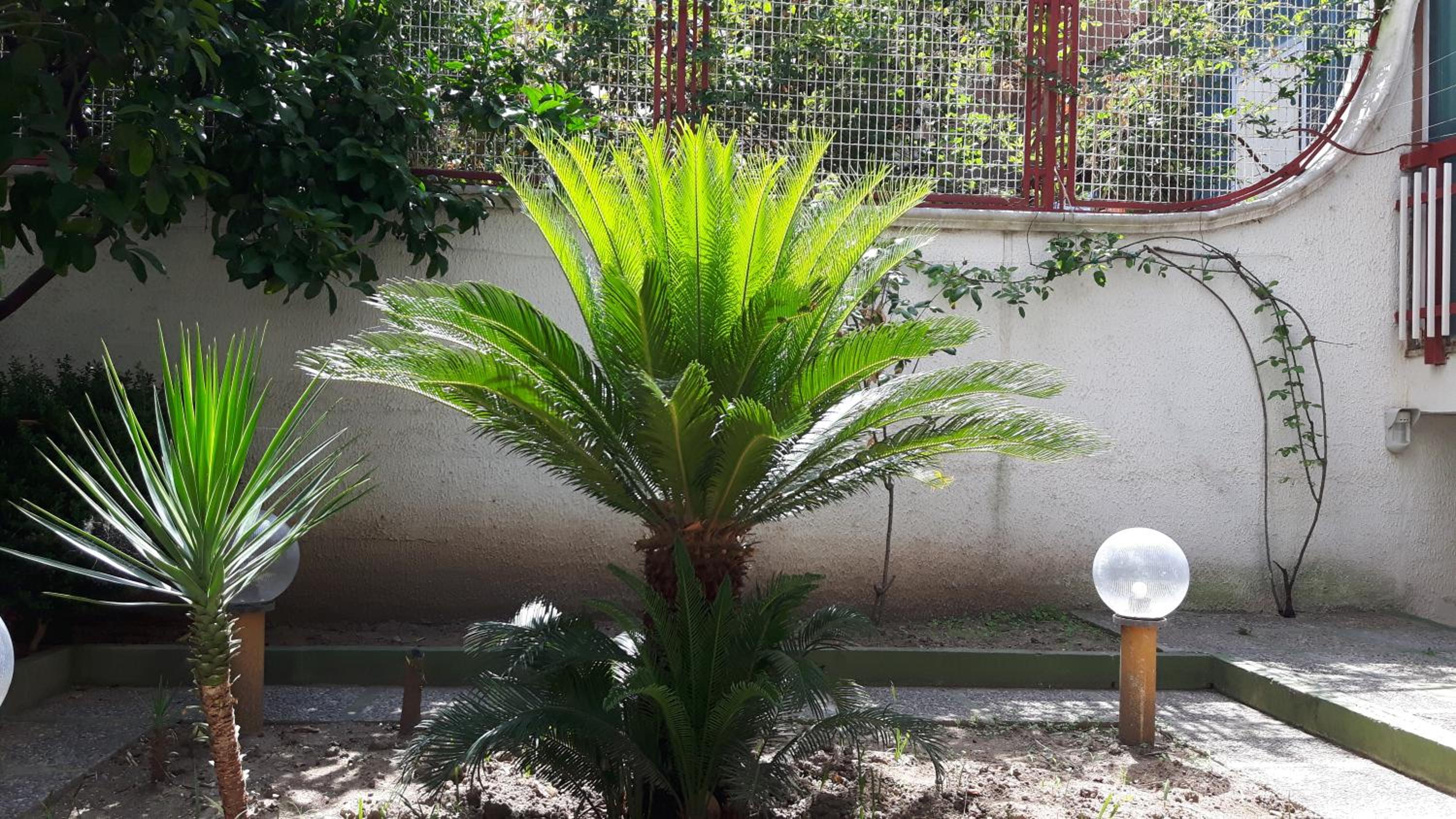 I 13 Cavalieri Guest House