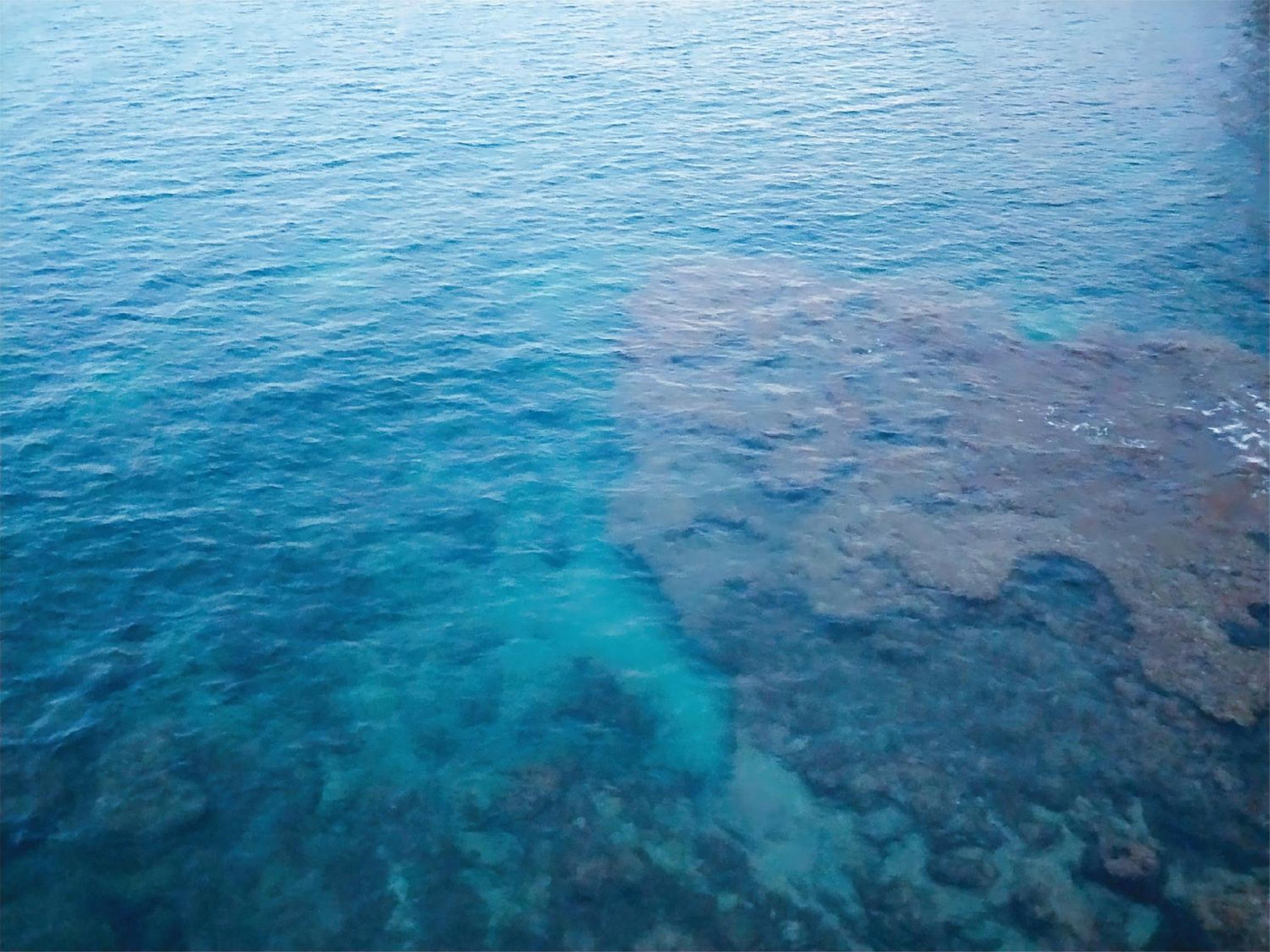 Ciclamino Siracusa