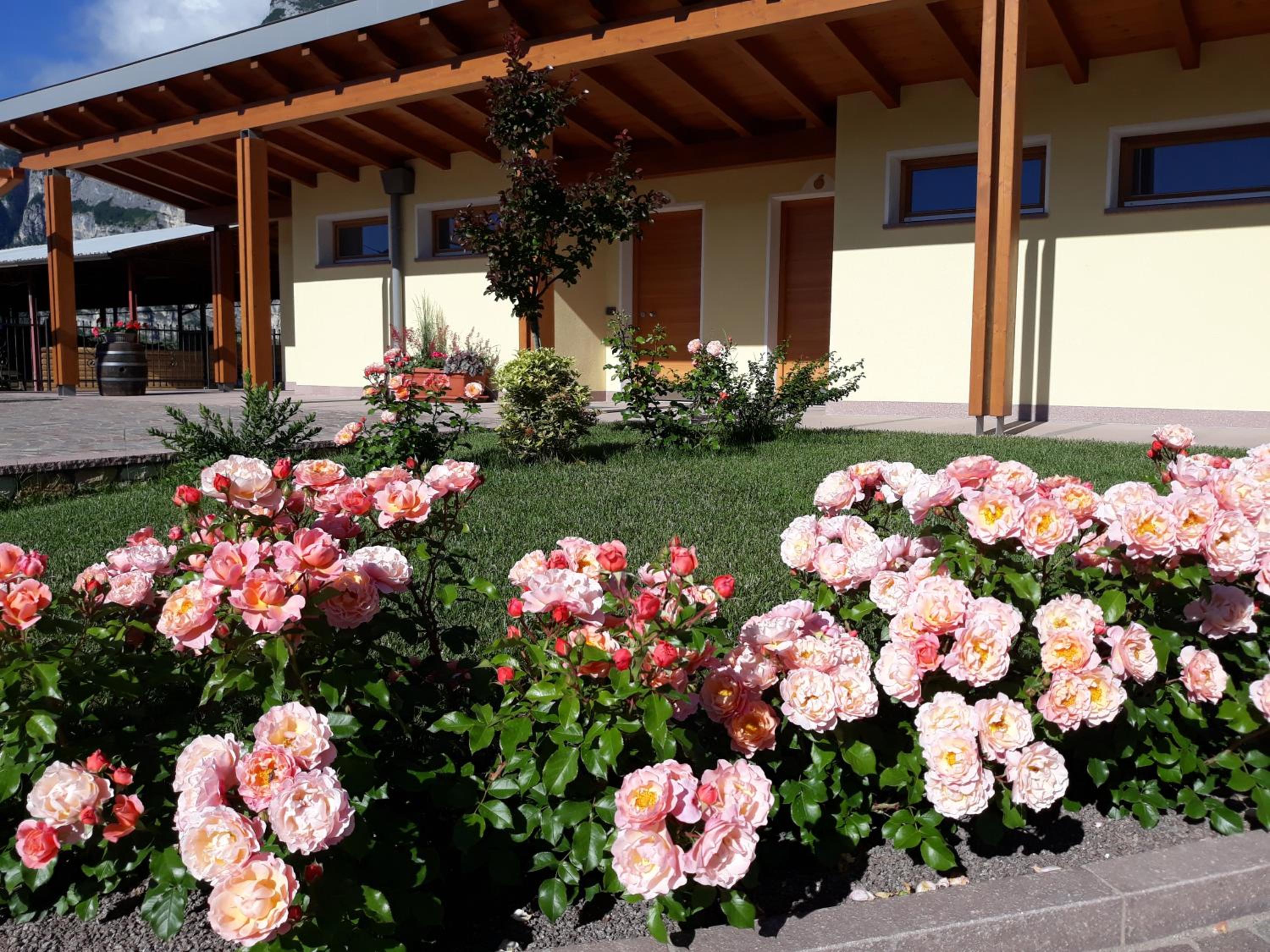 Agriturismo L' Isola di Arturo view 4