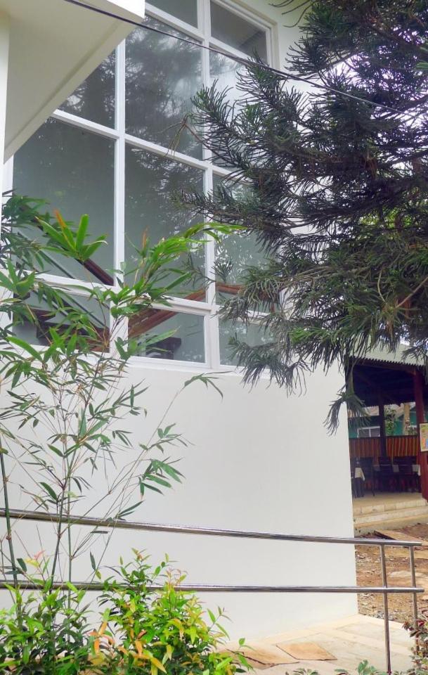Greenspace Palawan 照片第 13 張,共 35 張