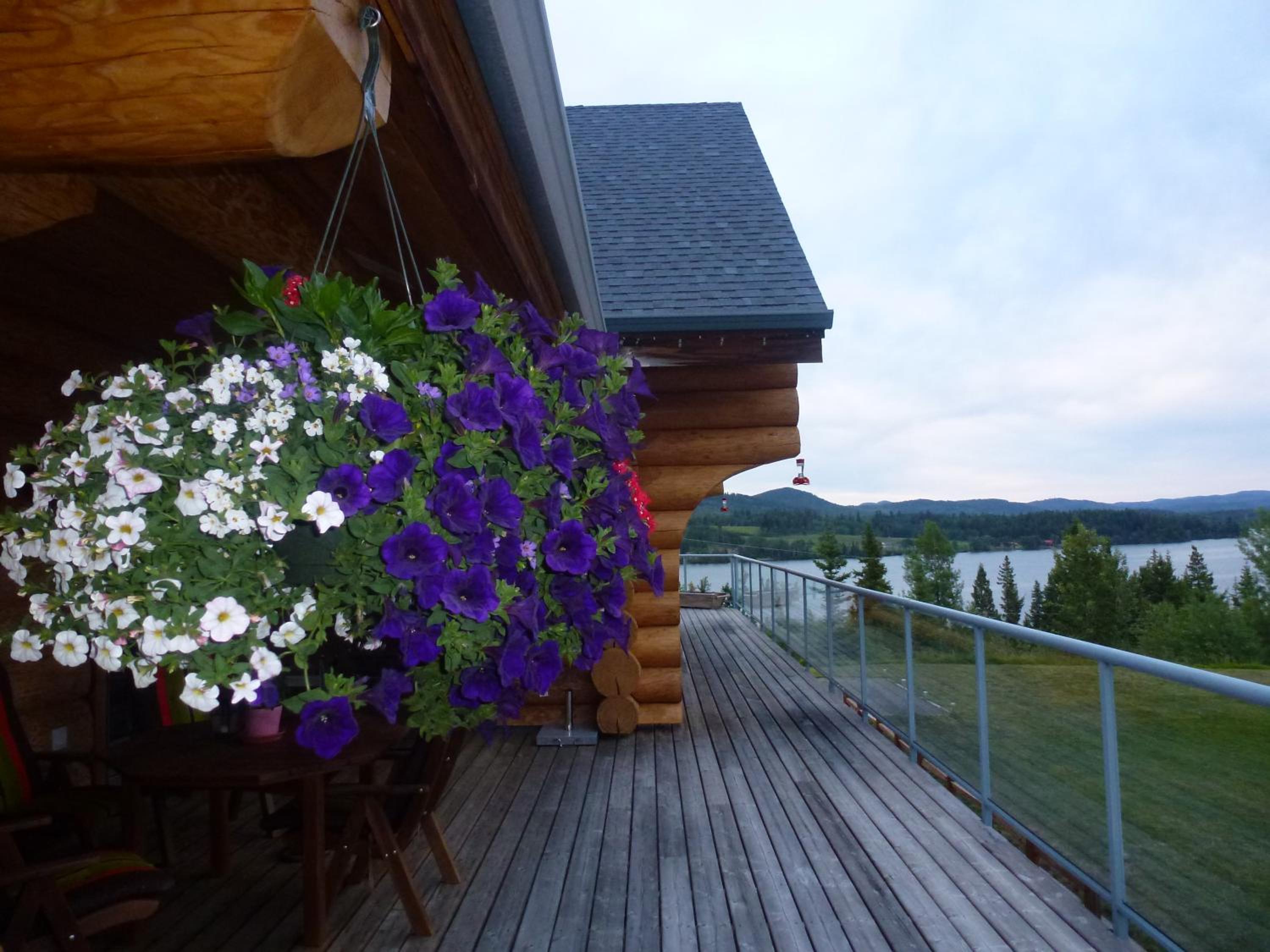 Little Black Bear Lodge/B&B