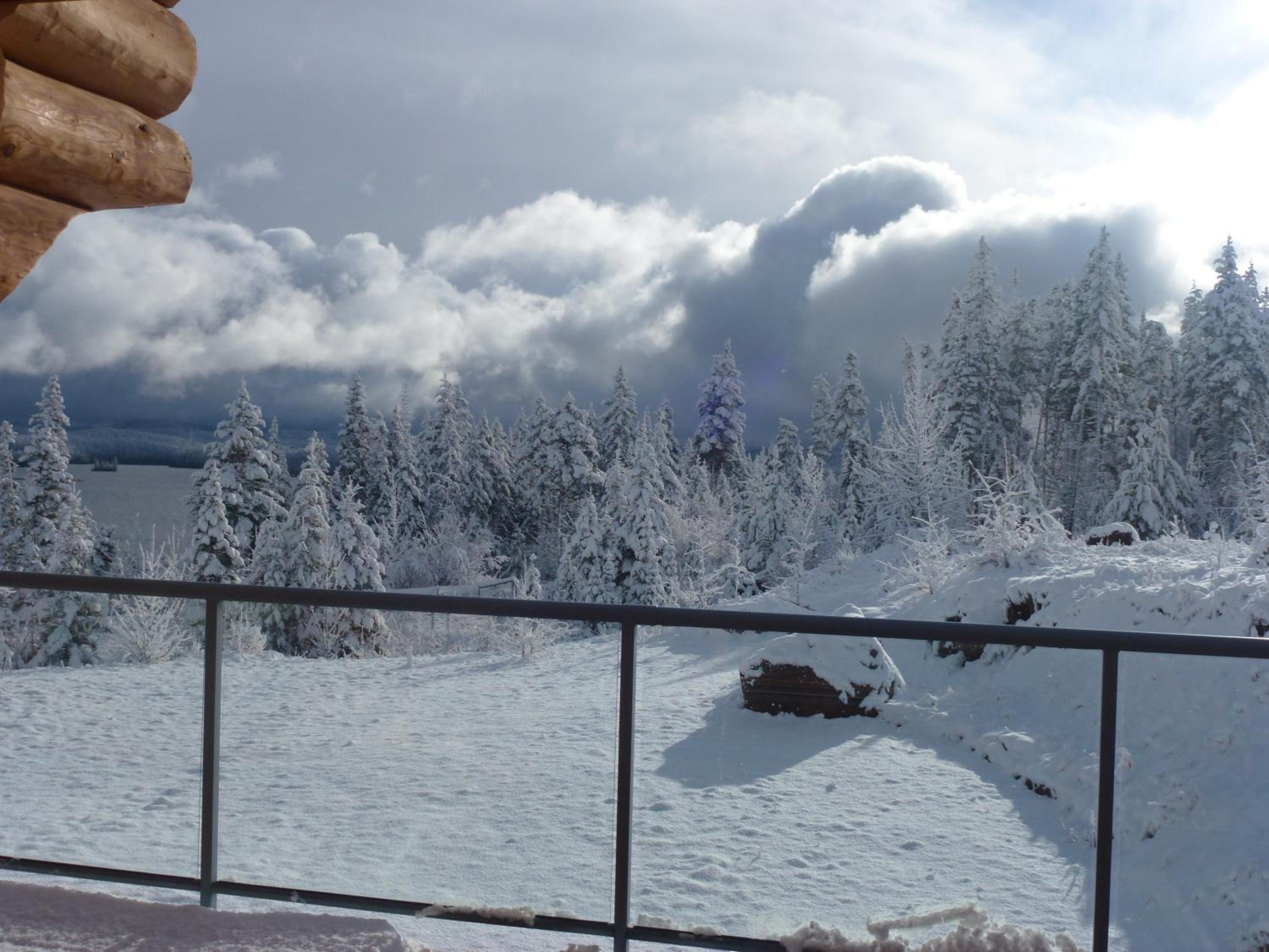 Little Black Bear Lodge/B&B