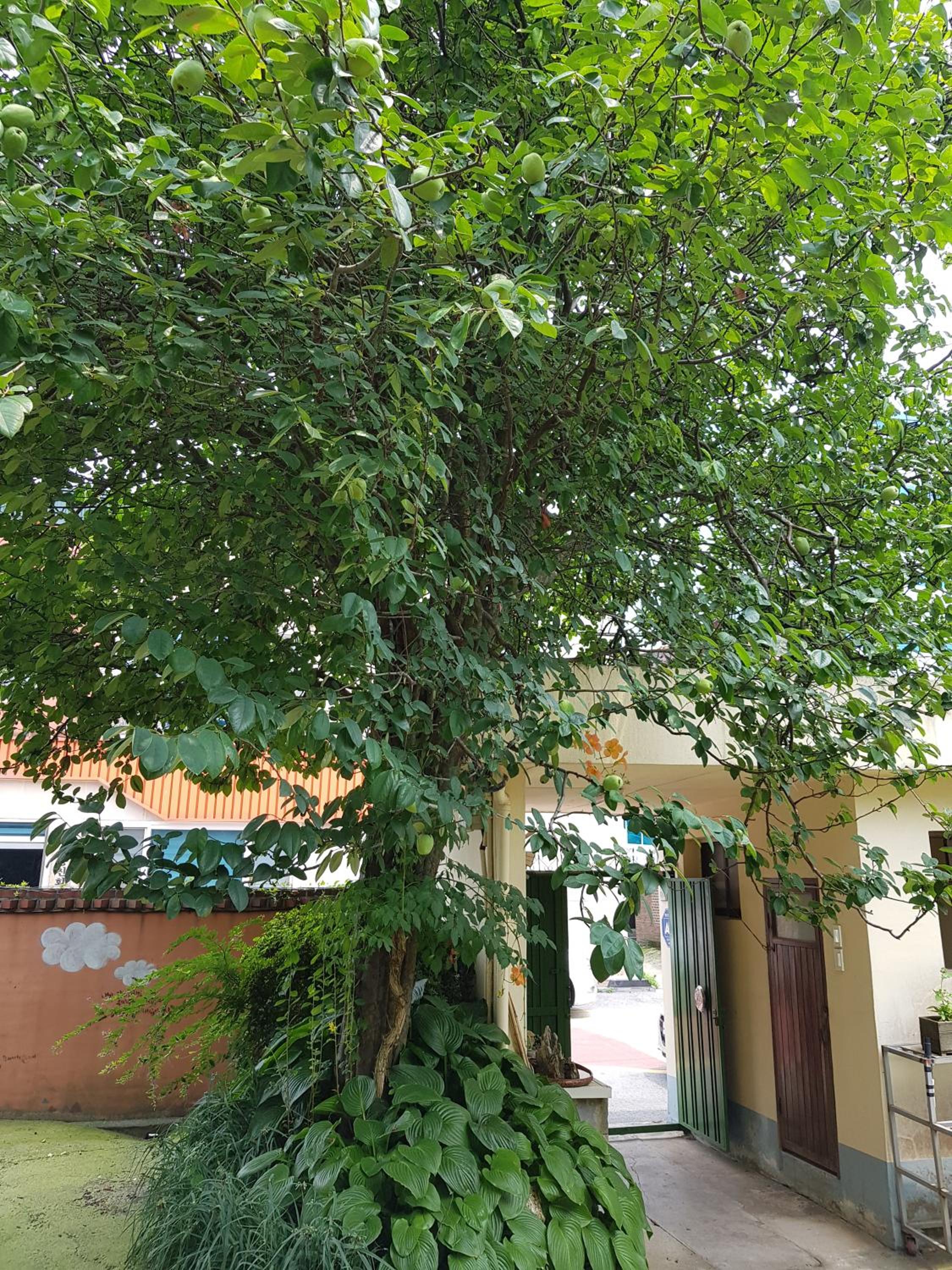 Photo 23