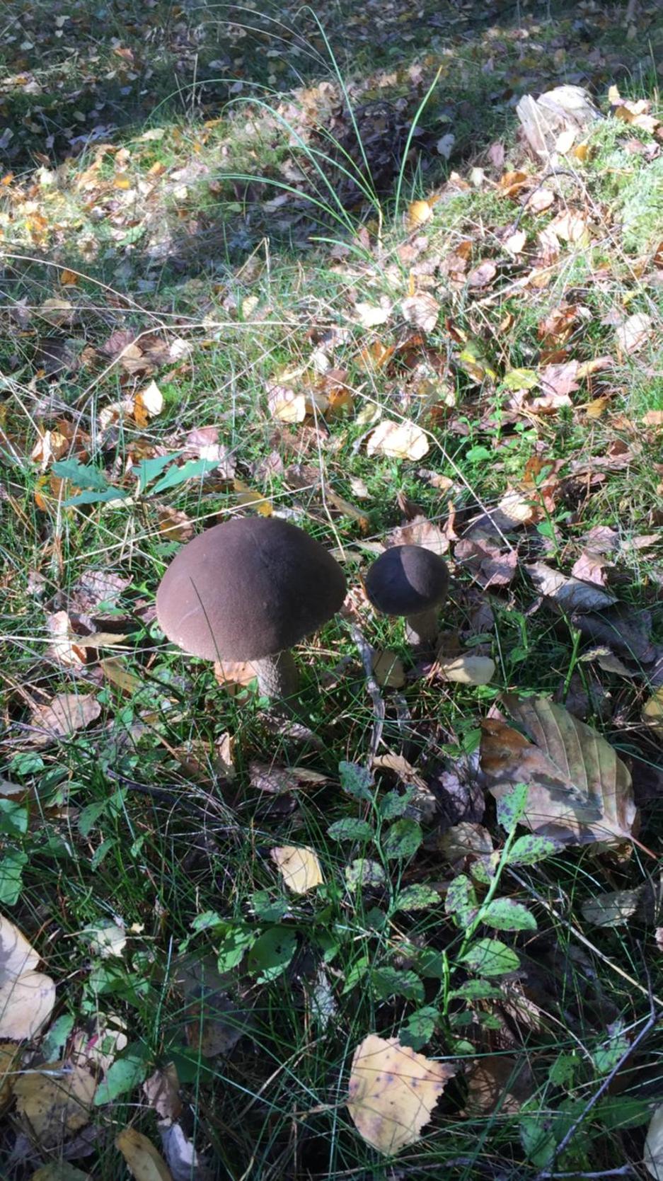 Pokoje Przy Warszawskiej view 2