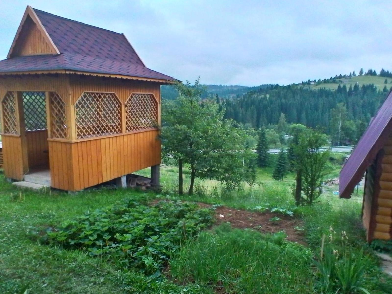 Photo 33
