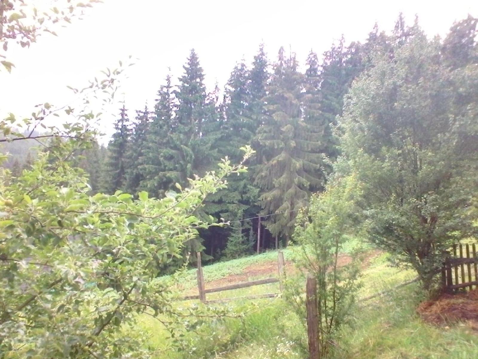 Photo 35