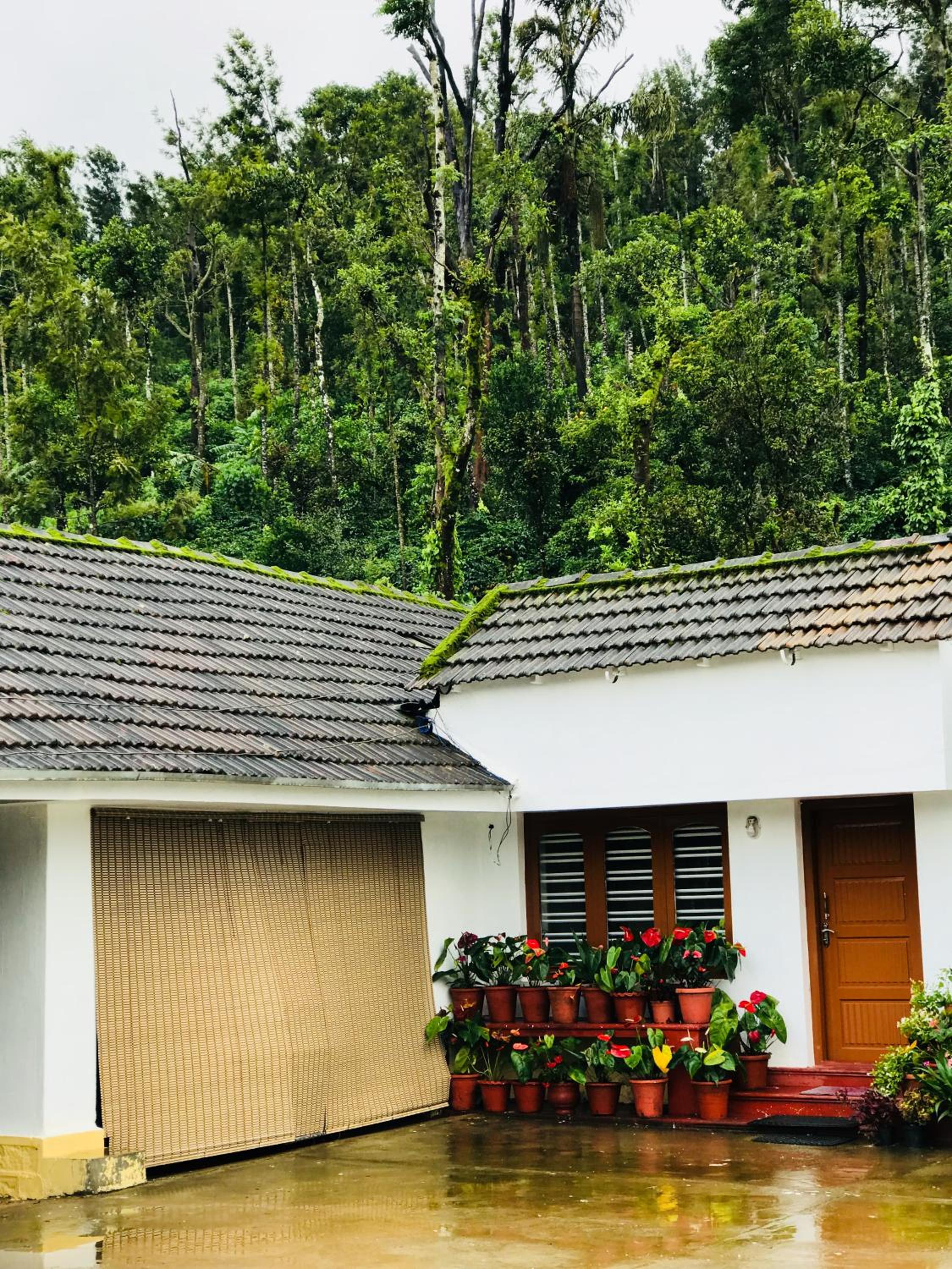 Shreegandha Homestay view 3