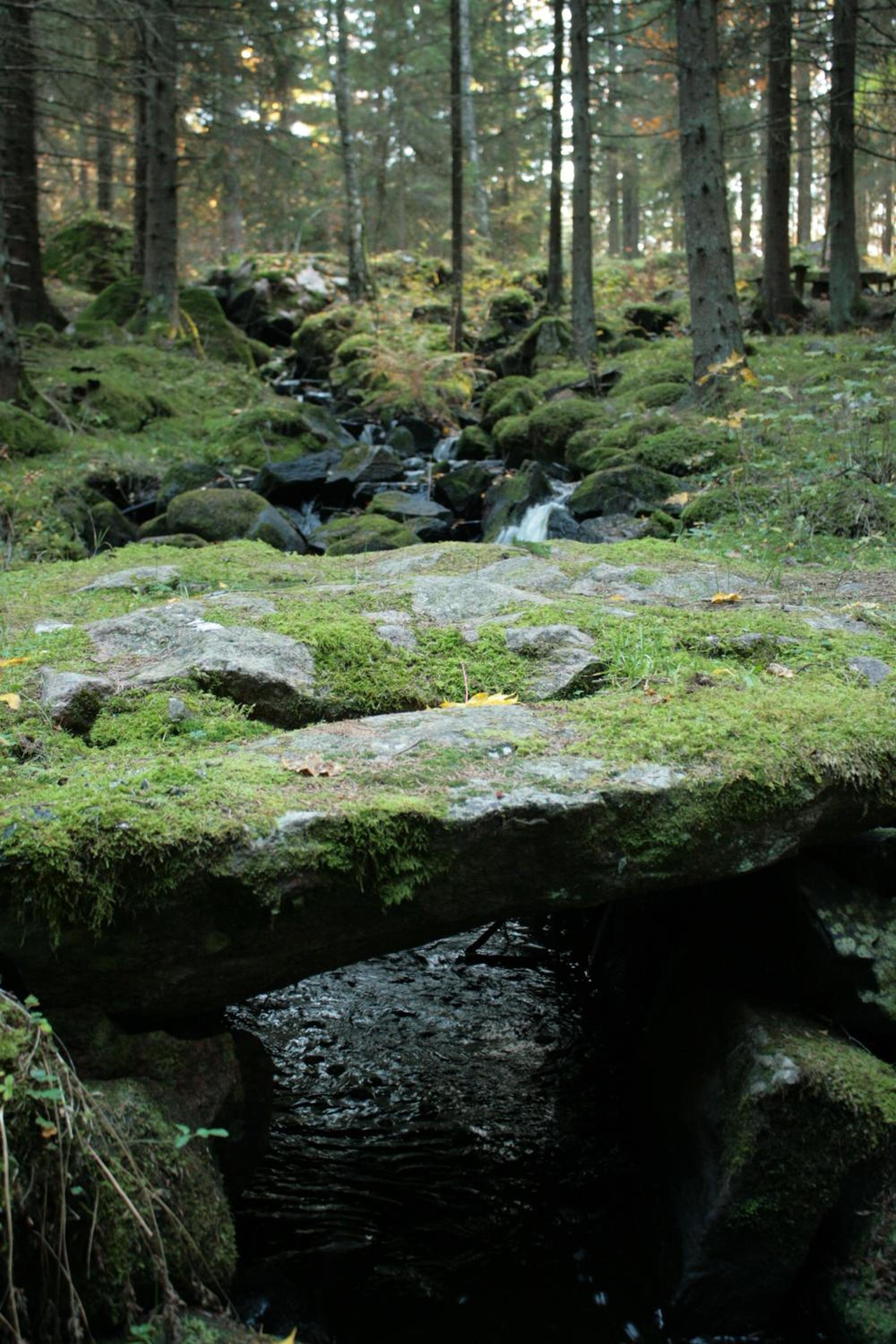 Photo 28