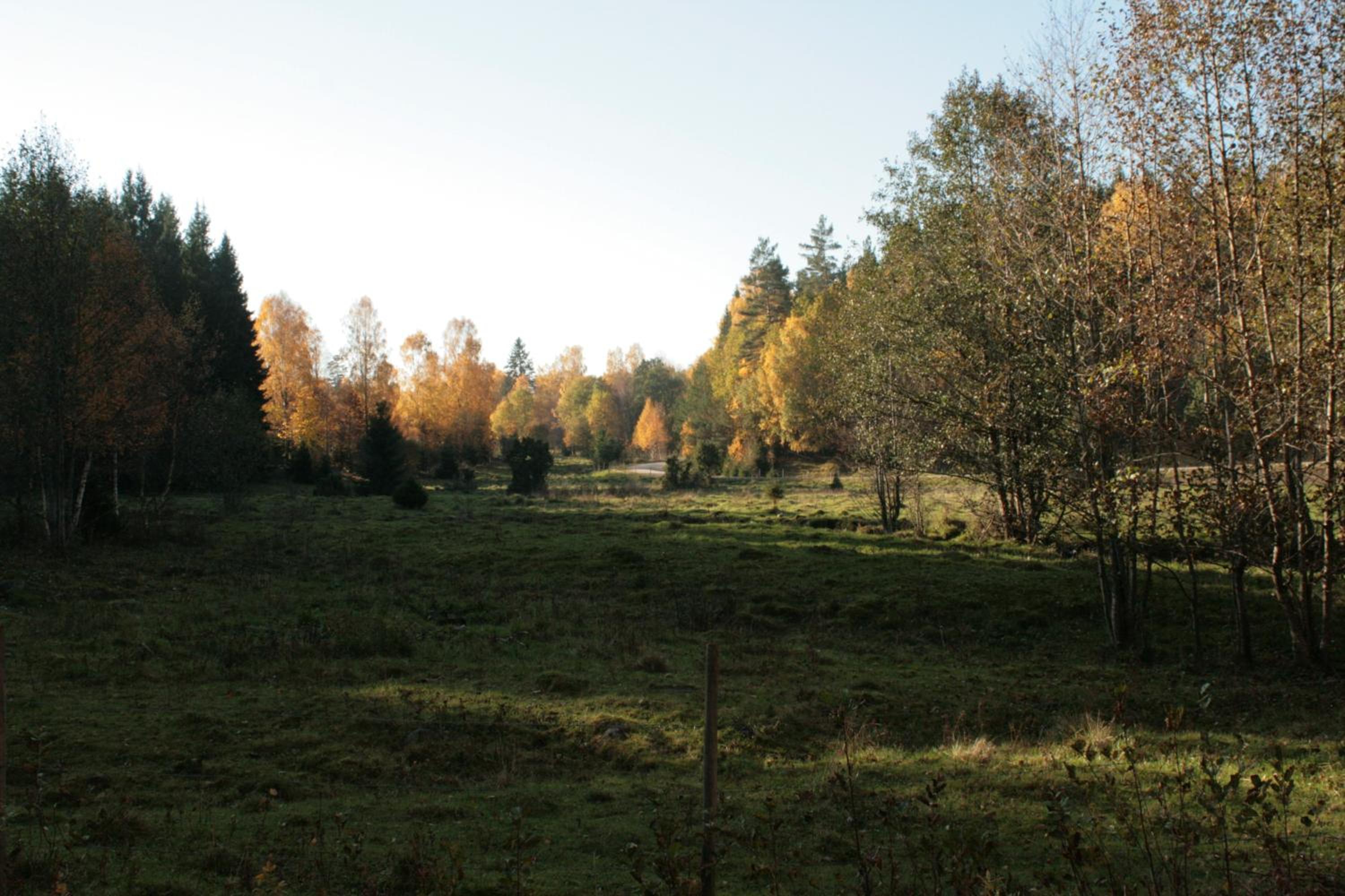 Photo 26