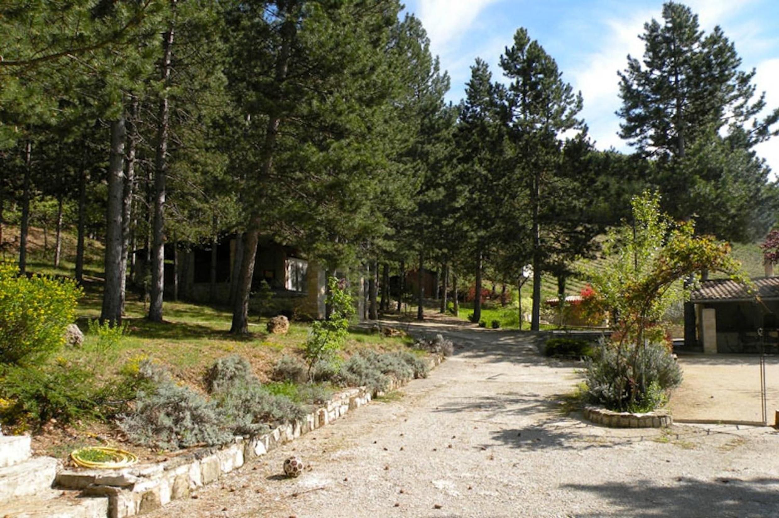 Photo 12
