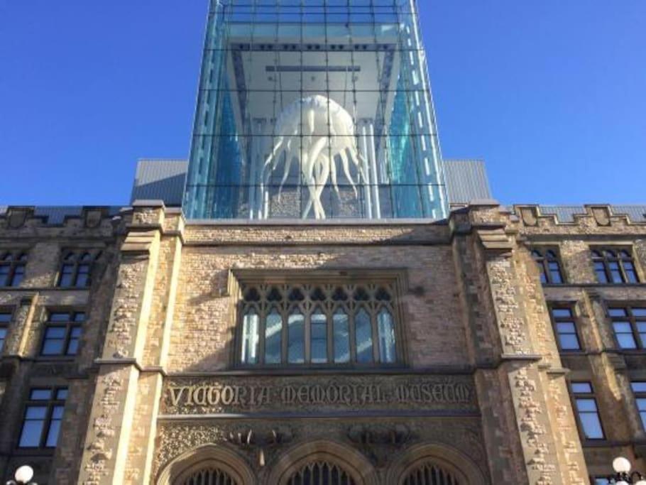 Photo 18