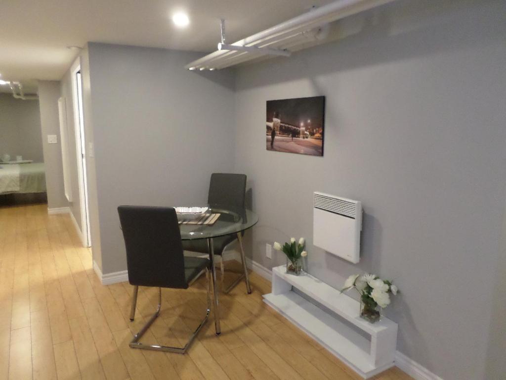 Fantastic and Modern Downtown 1-Bed Basement Apt., parking Wi-Fi and Netflix included