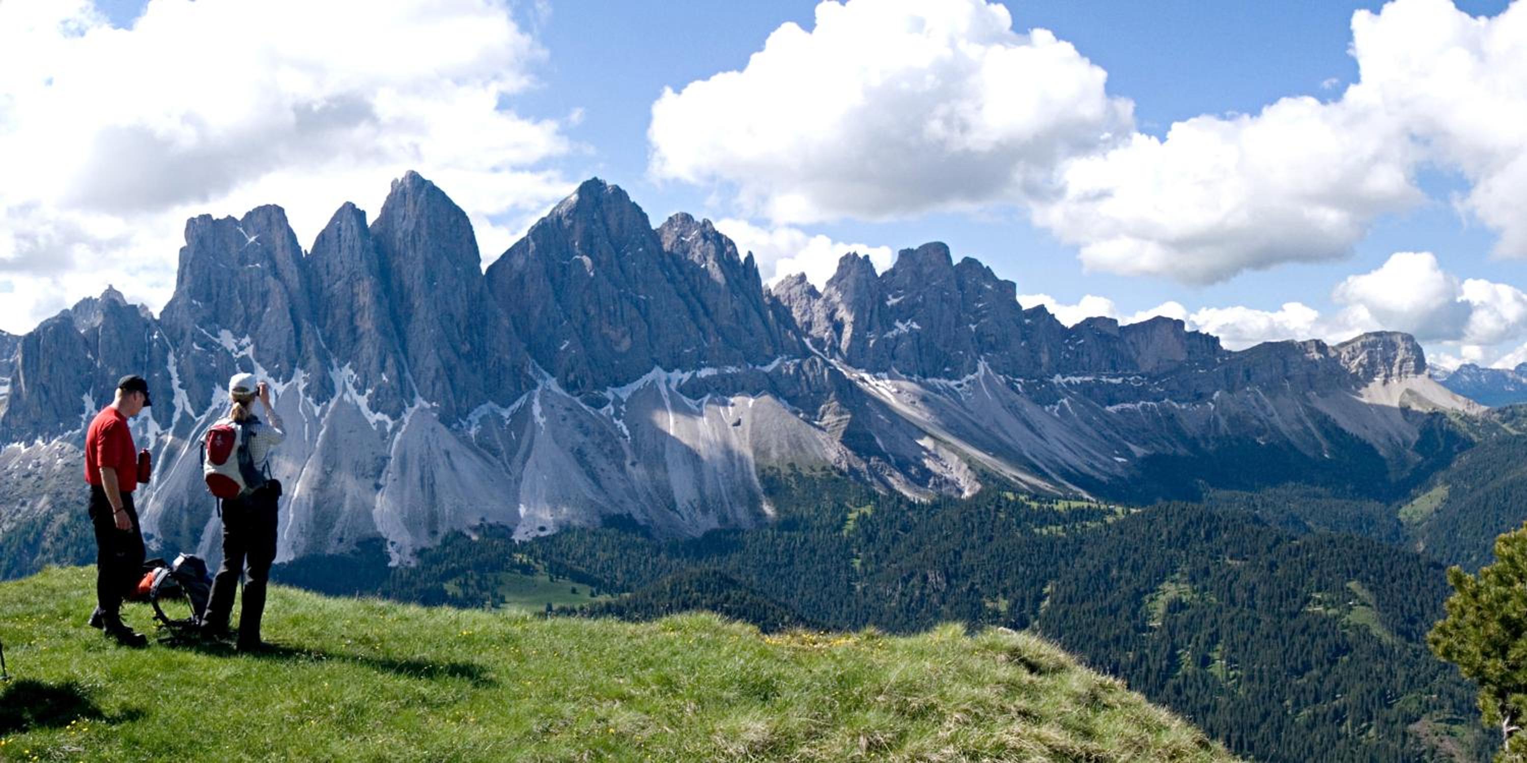 Schopplhof - panoramic apartments dolomites