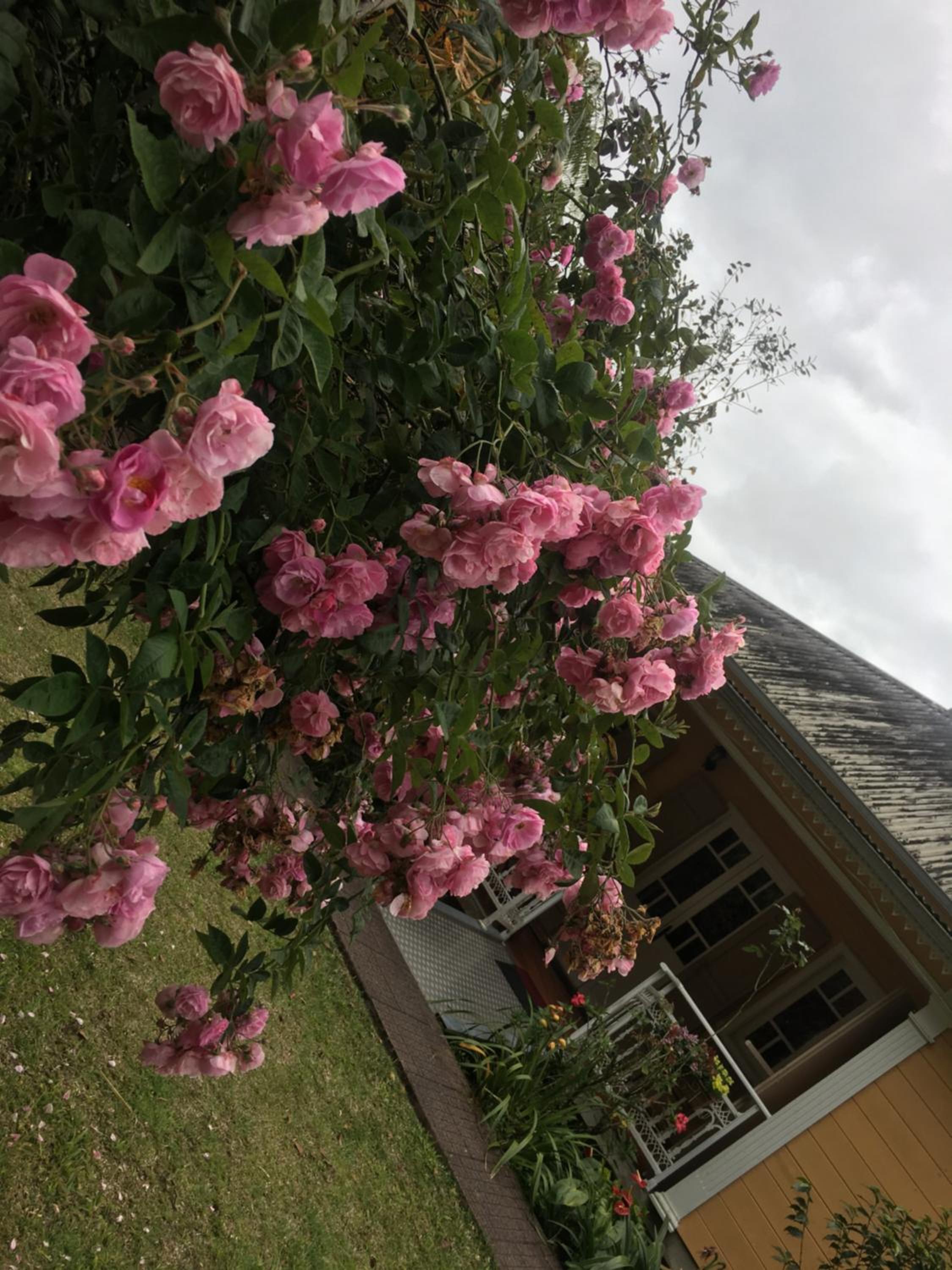 Photo 30