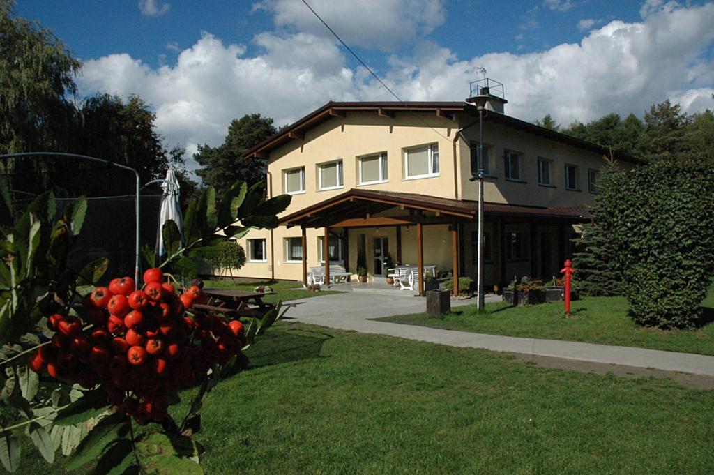 Photo 14