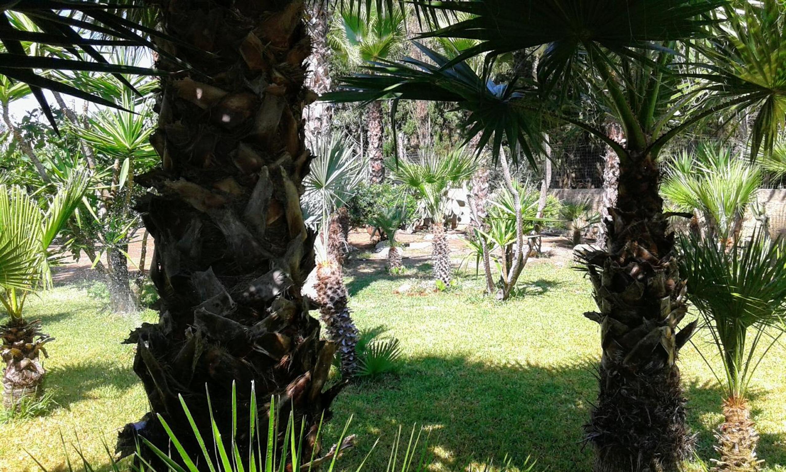 Casa vacanze Consiglia view 3