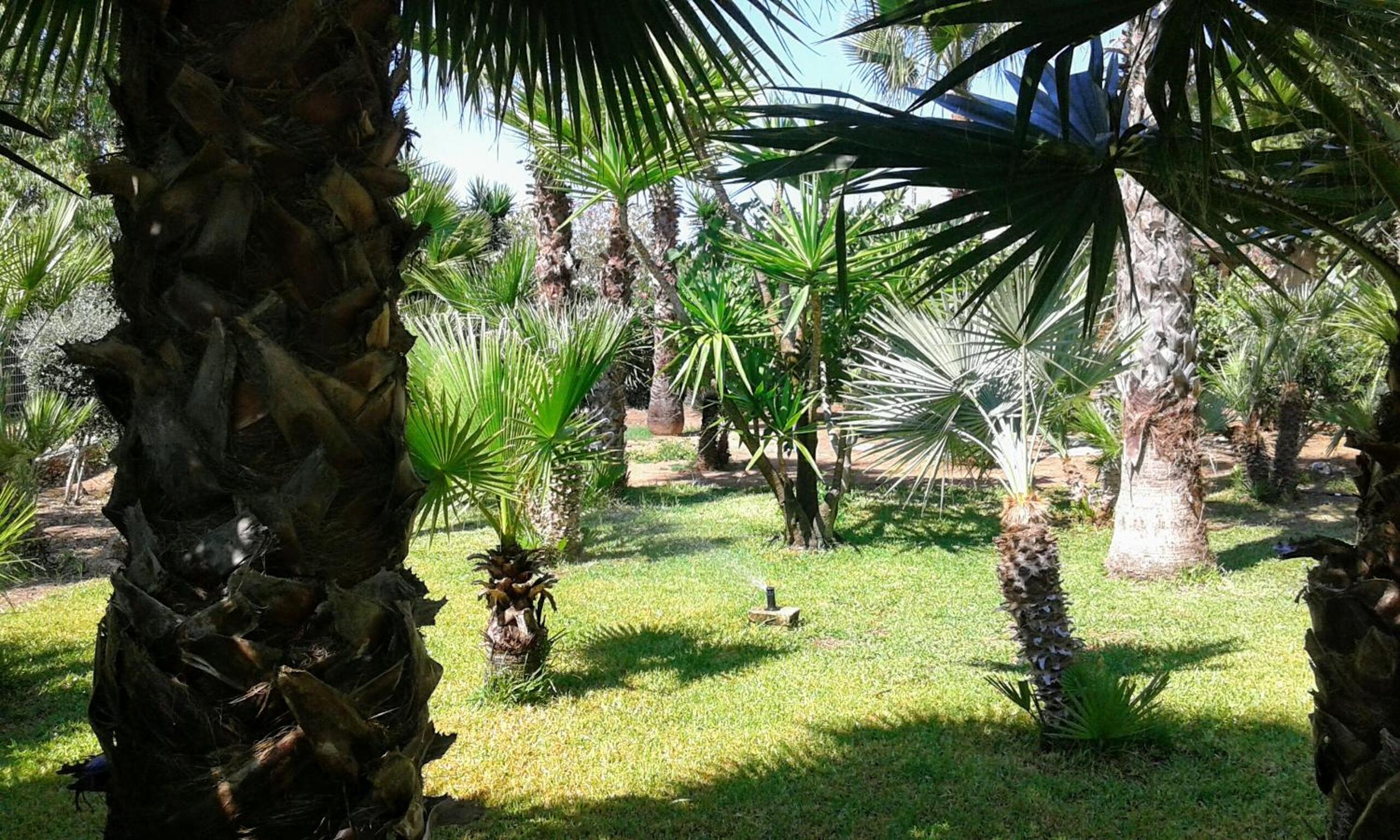Casa vacanze Consiglia view 4