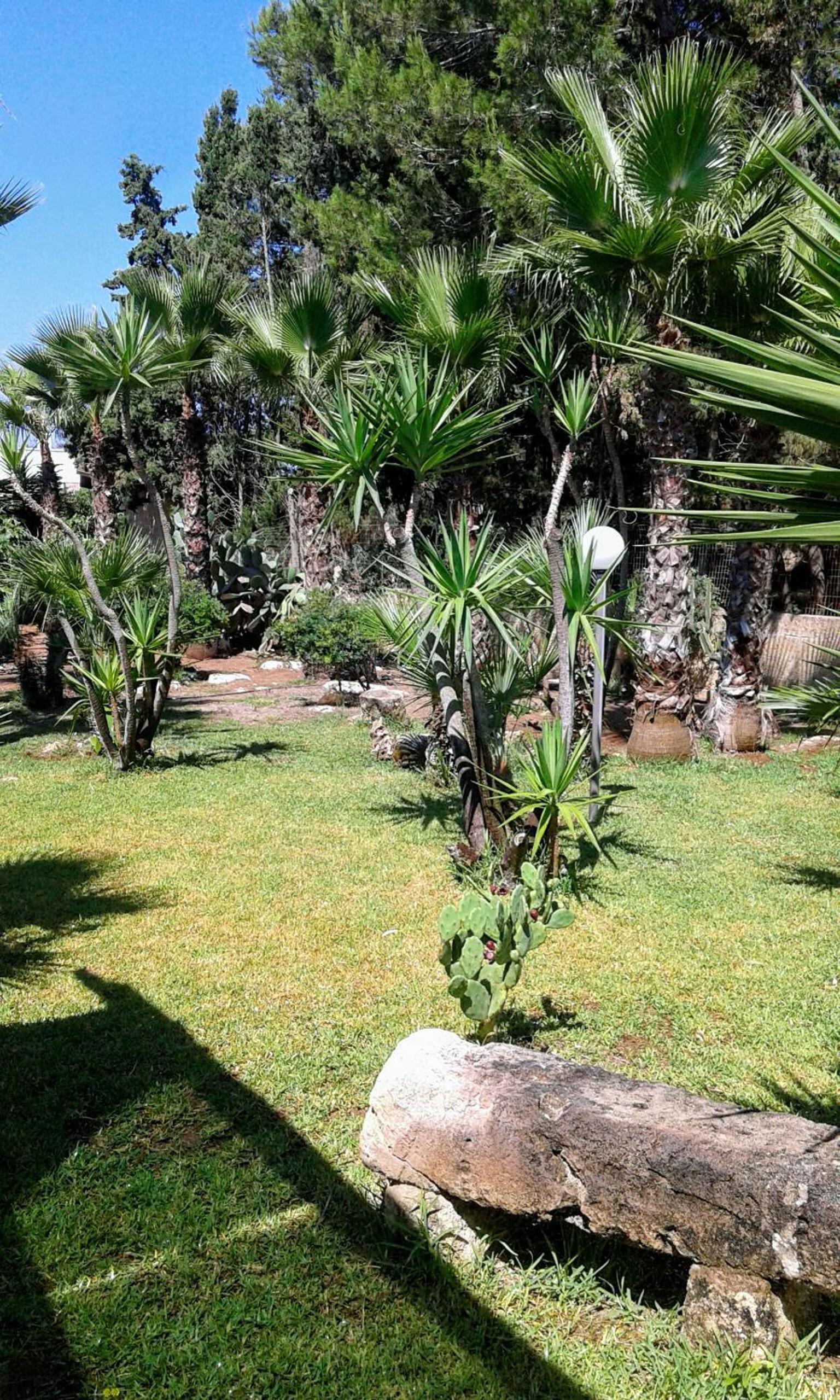 Casa vacanze Consiglia view 2