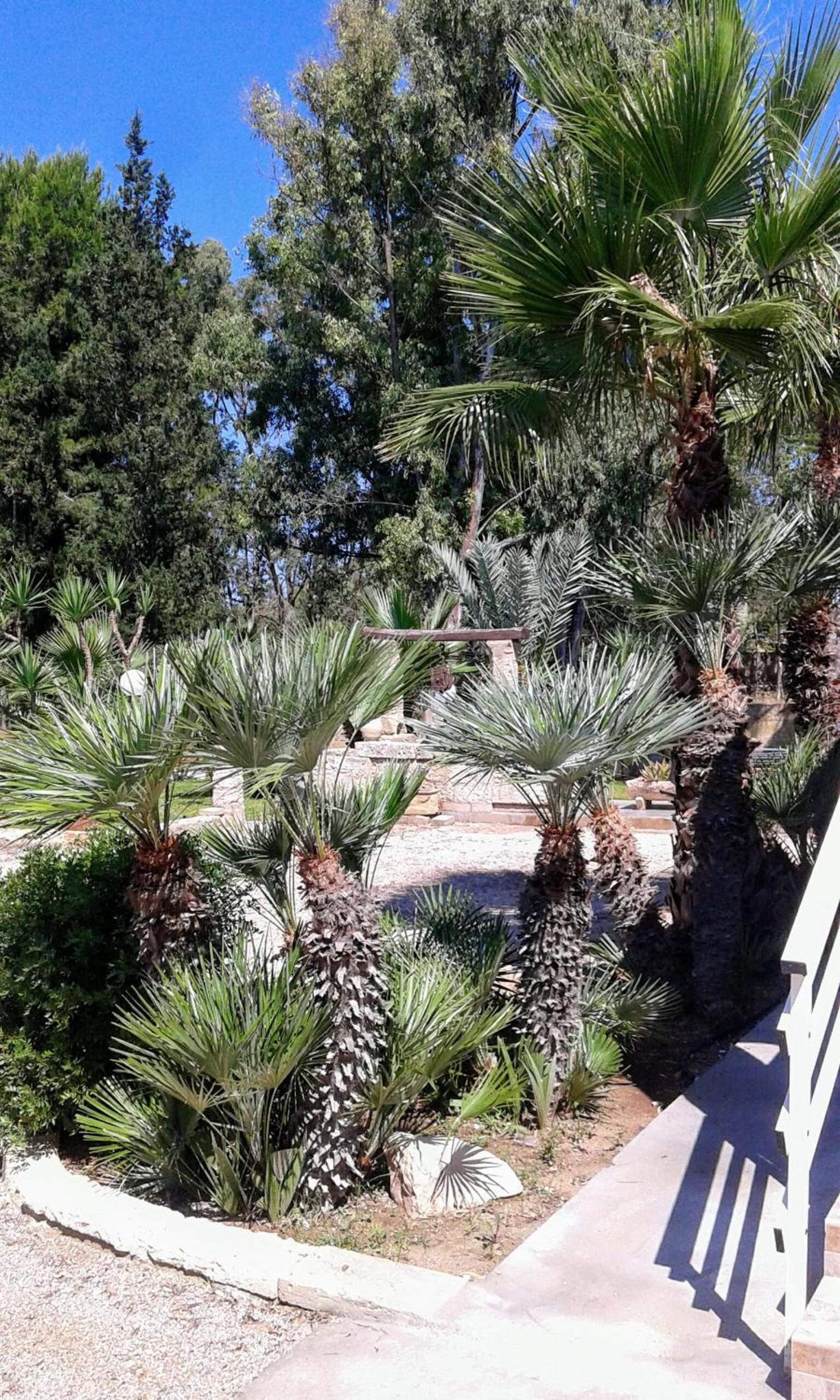 Casa vacanze Consiglia view 5