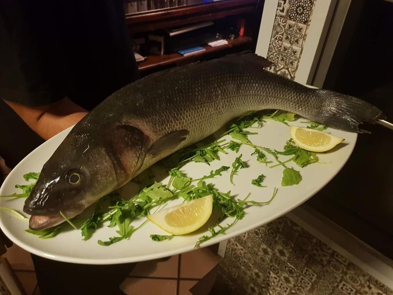 La Bella Napoli B&B