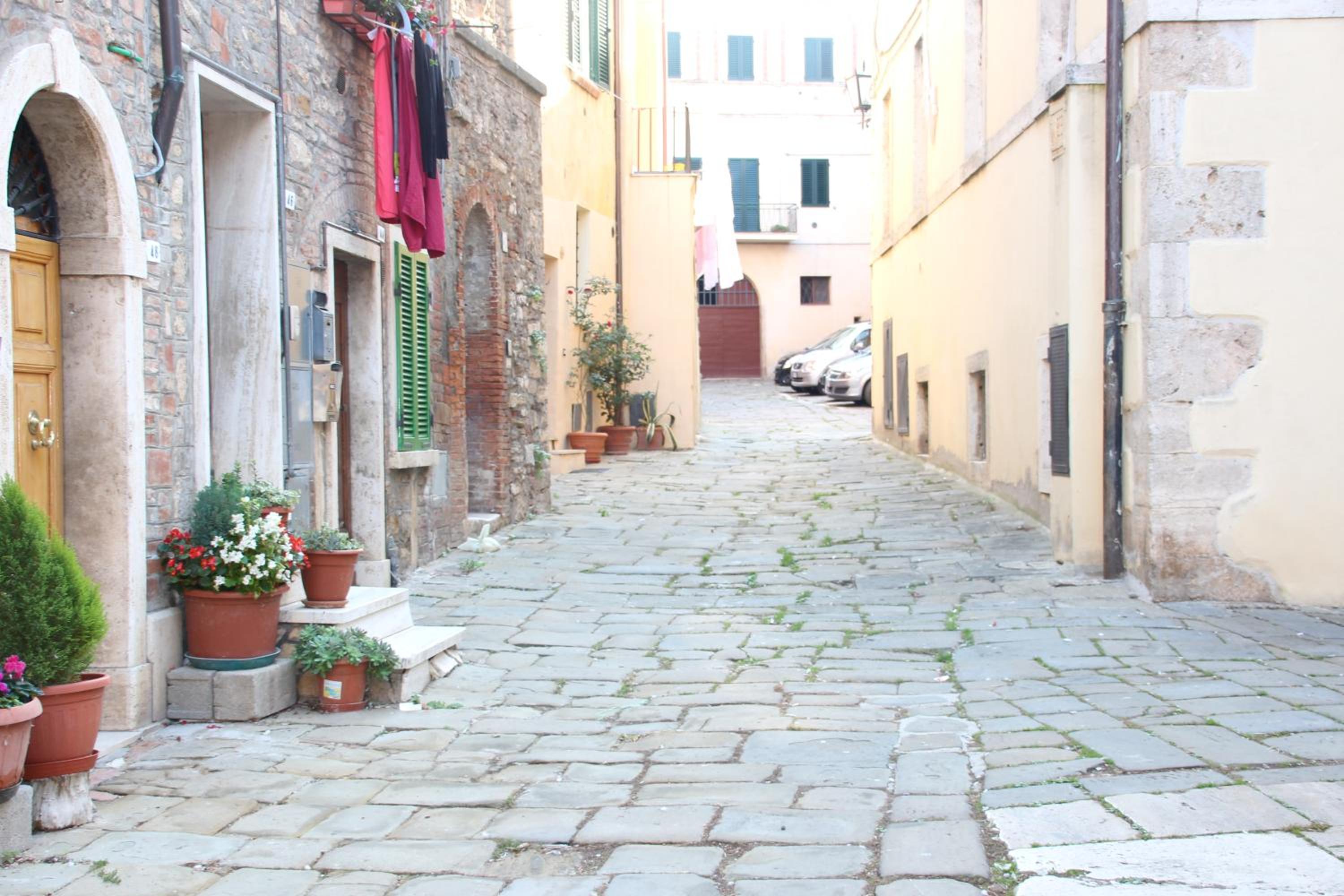 Carolina Apartment photo 2