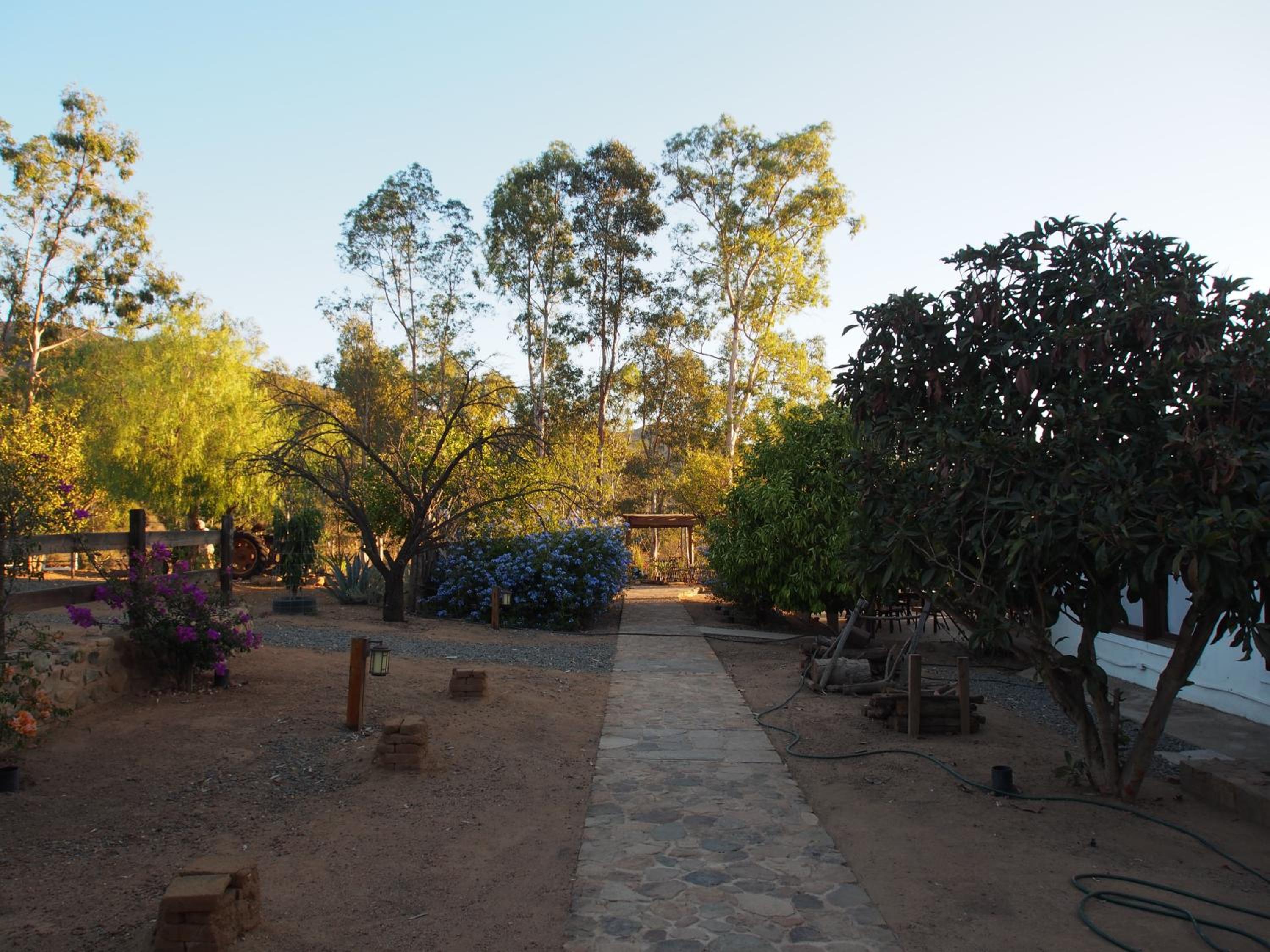 Casa Mayoral B&B Pet friendly