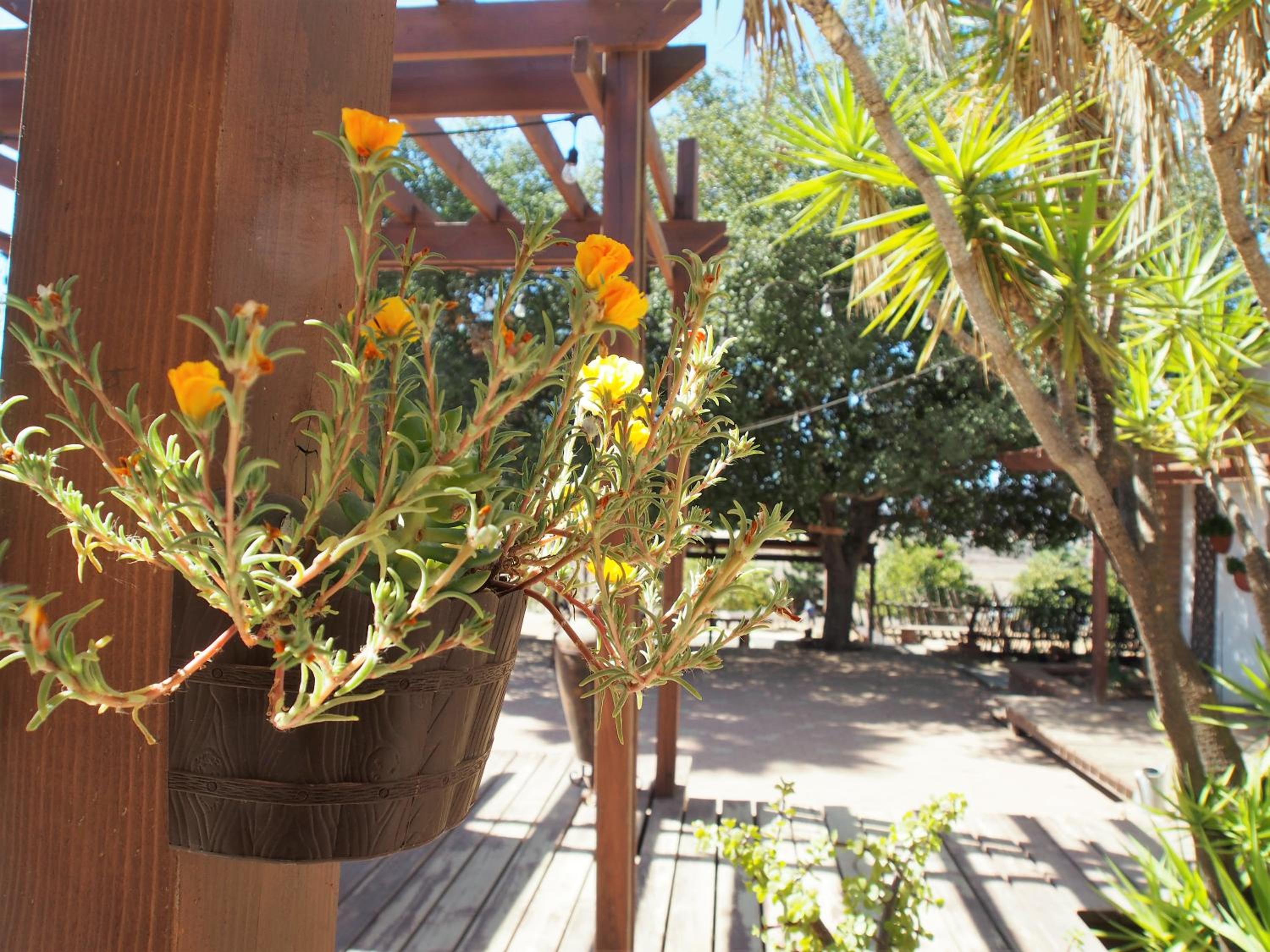 Casa Mayoral B&B Pet friendly