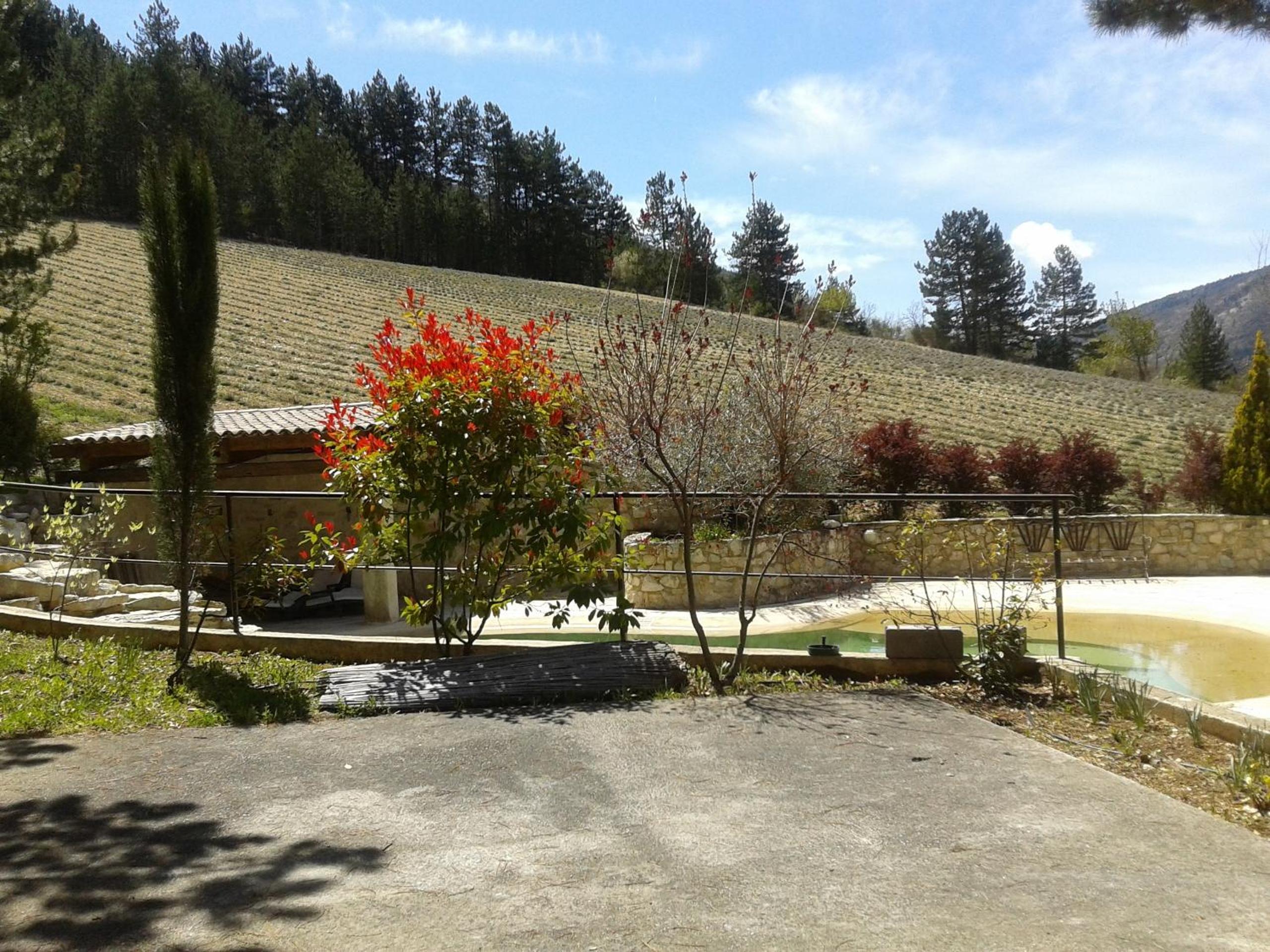 Photo 15