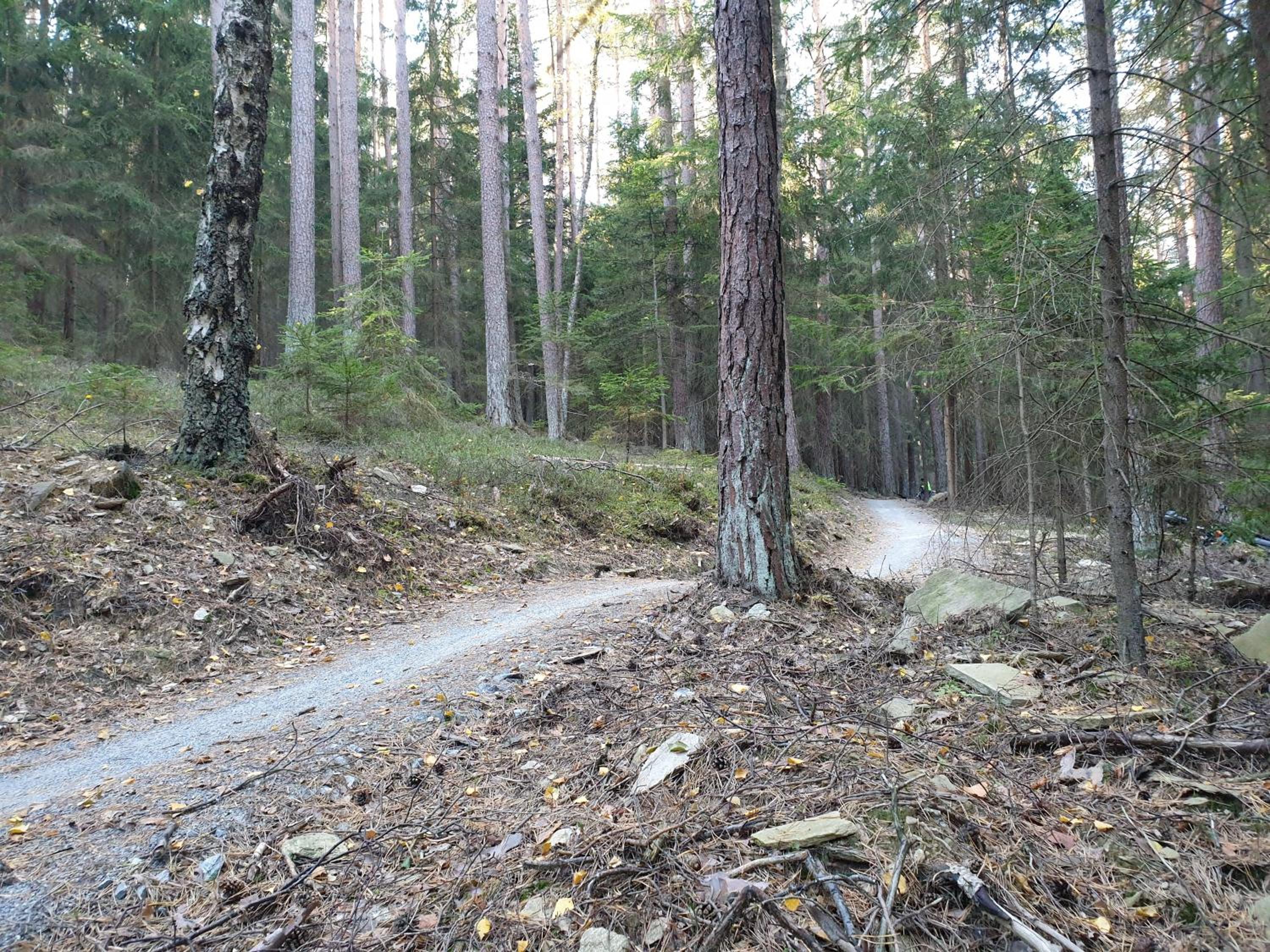 Photo 40