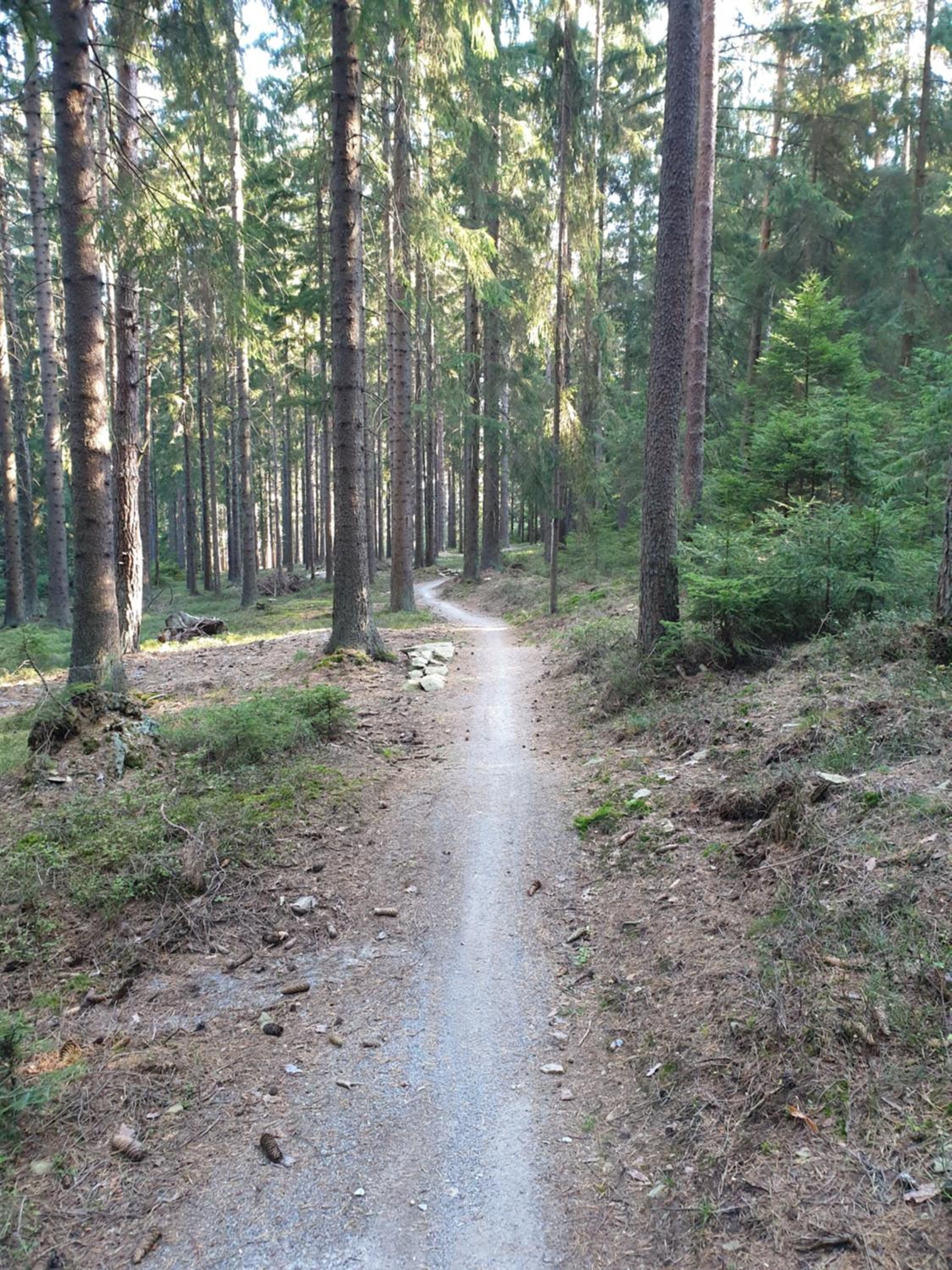 Photo 41