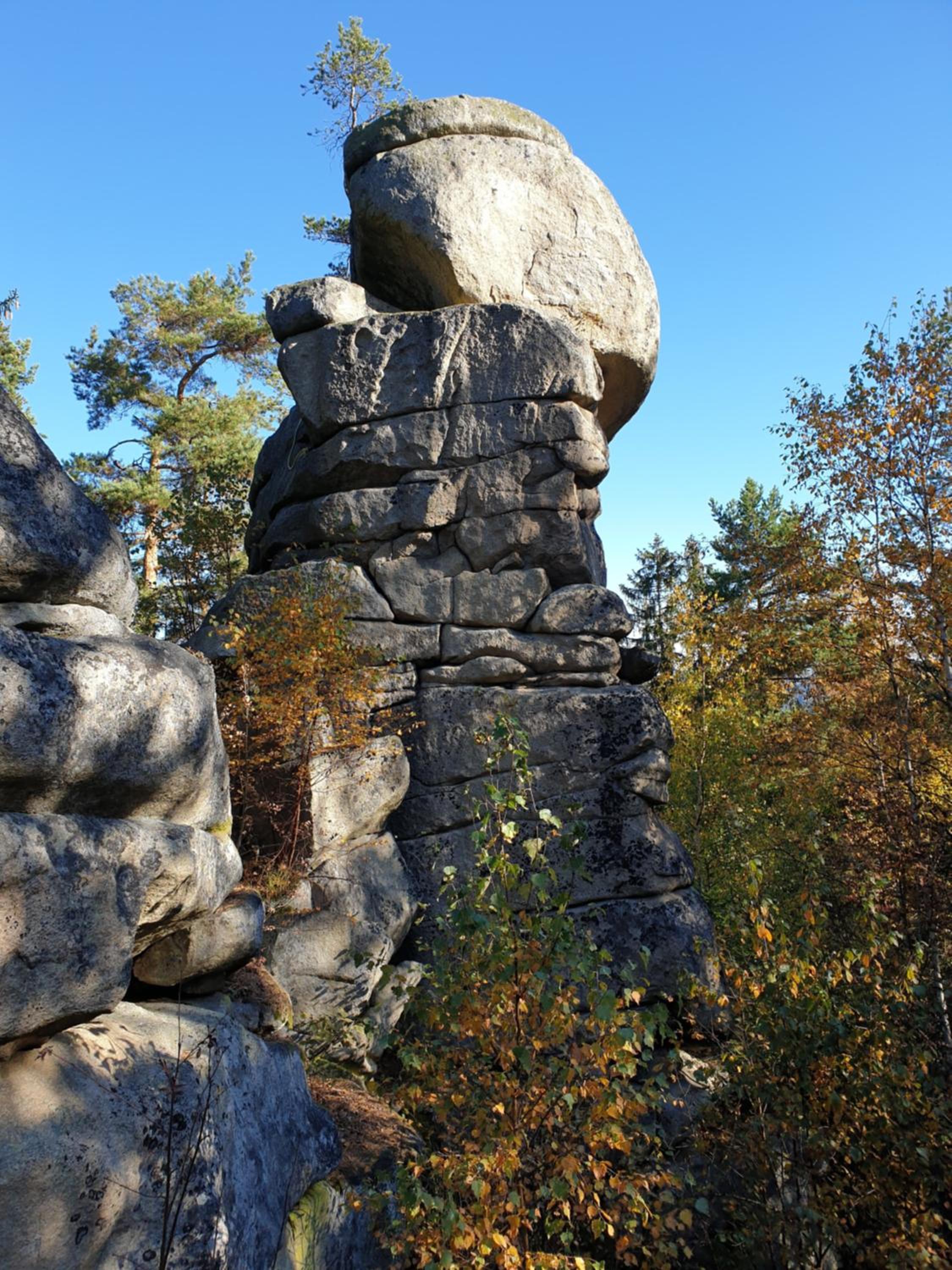 Photo 45