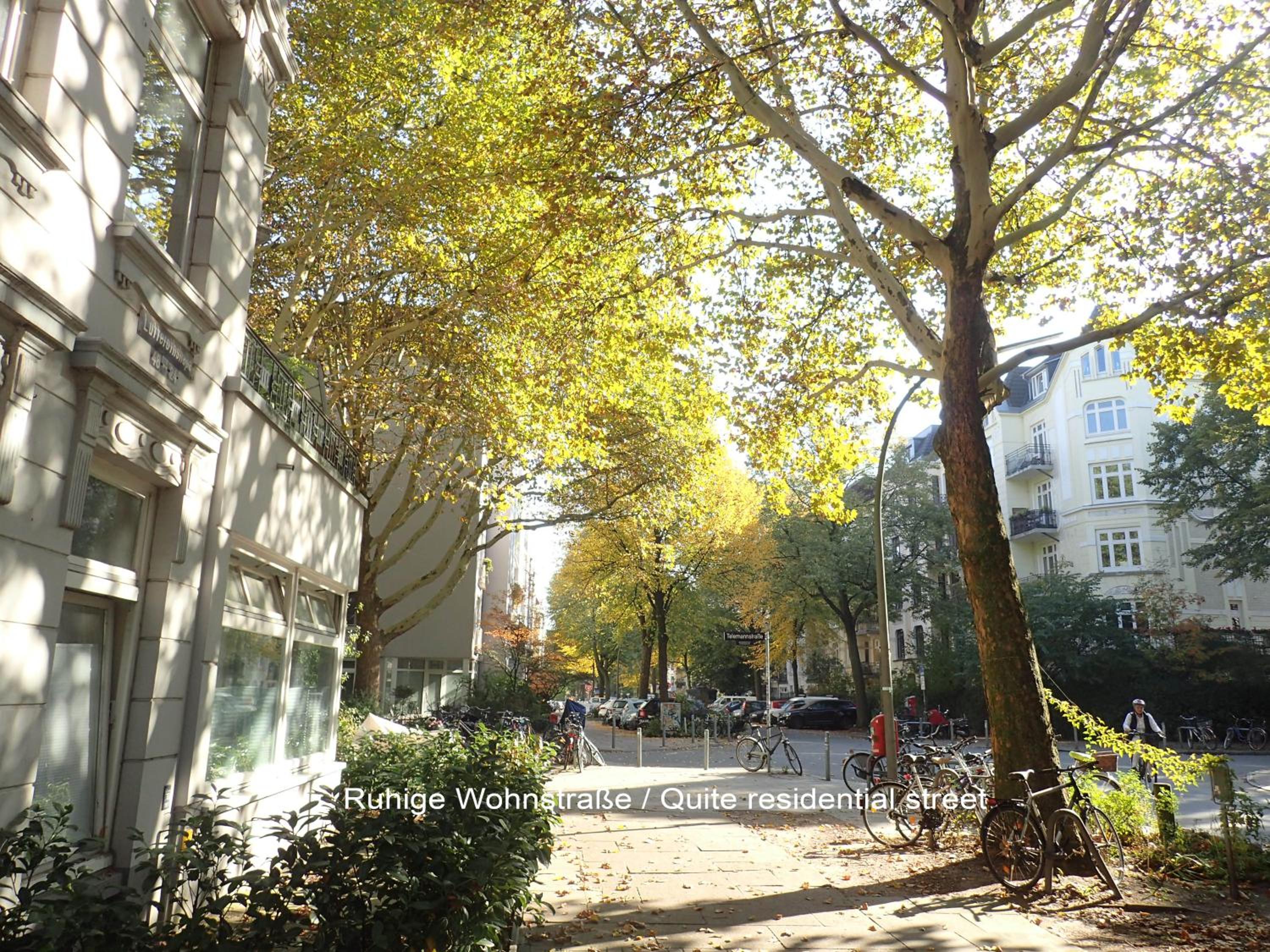 Hamburg Center Island