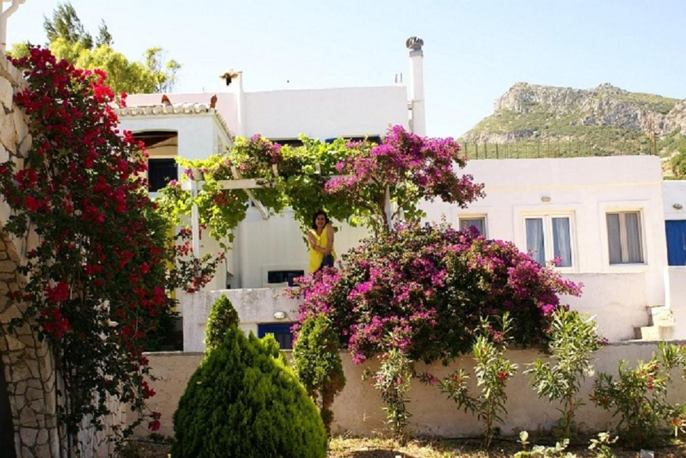 Window To The Aegean view 3