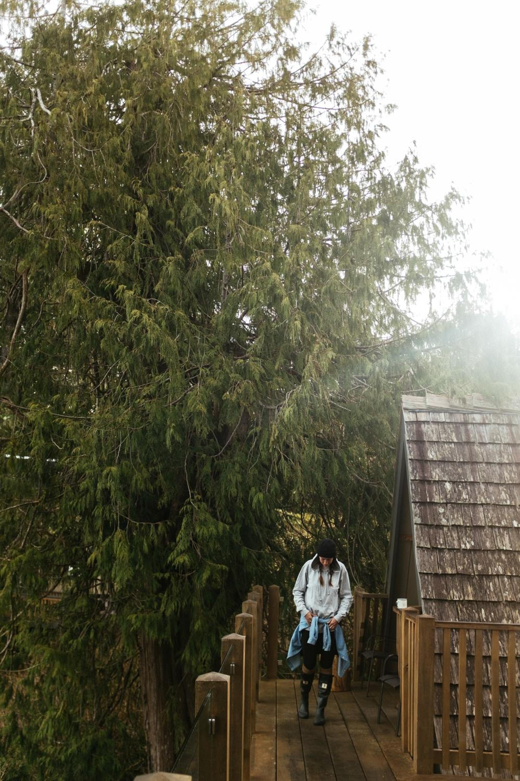 Tofino Vacations - The Shoreline Tofino - Property Image 21