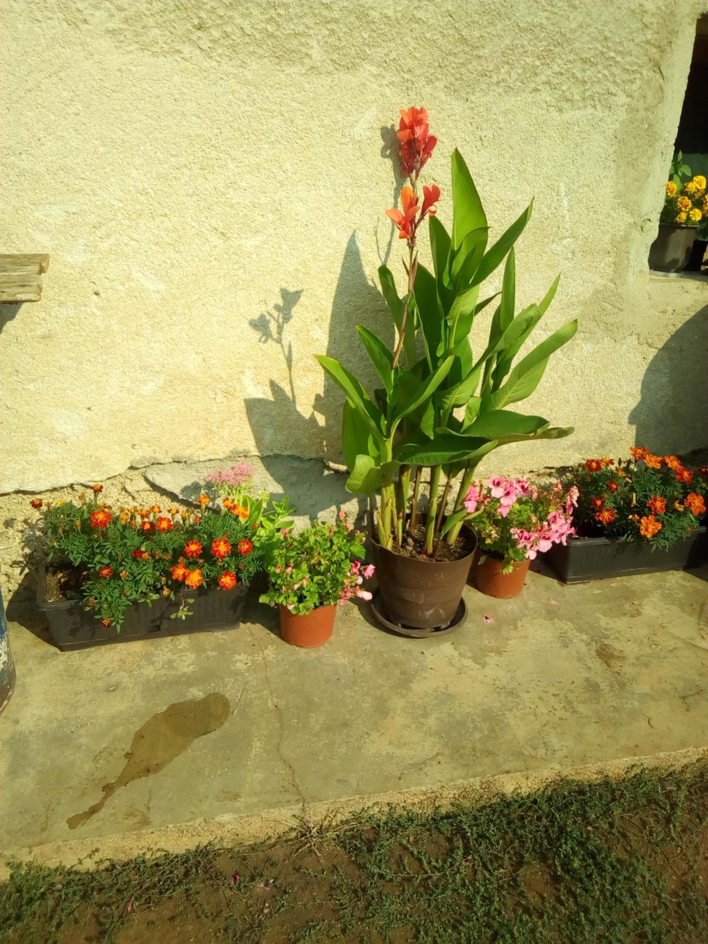 Photo 34