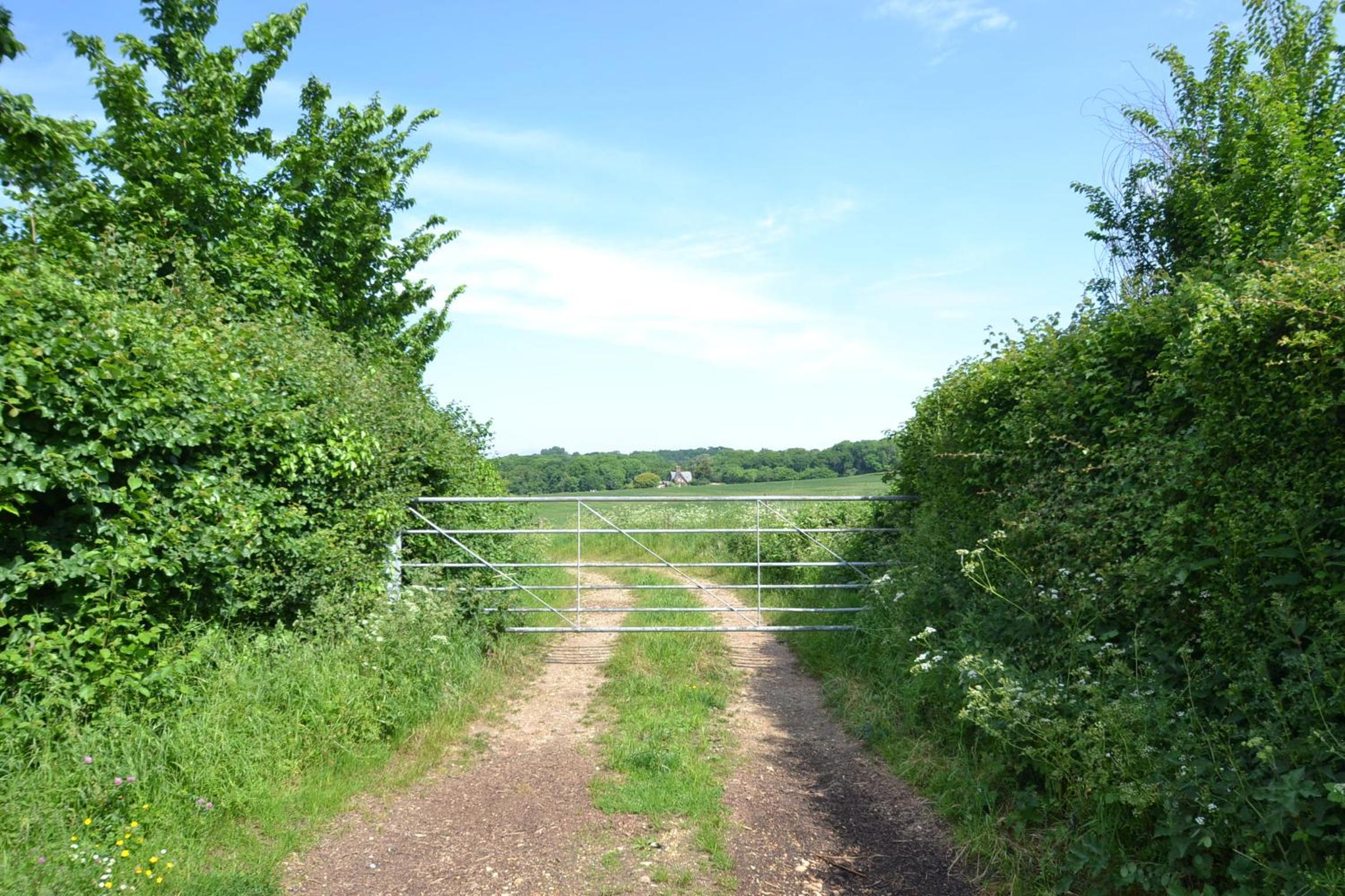 Photo 6