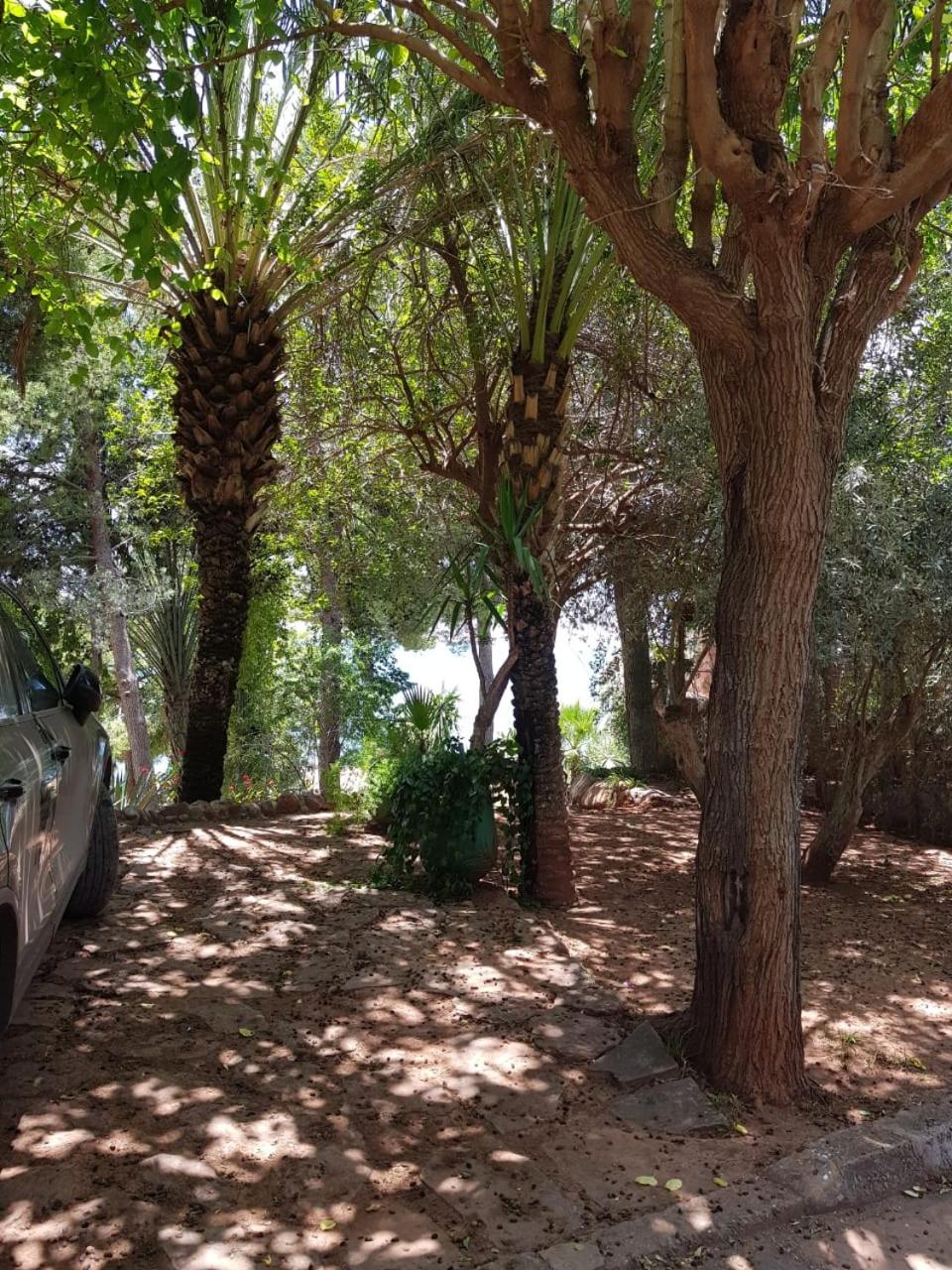 Appart Bin Elouidane