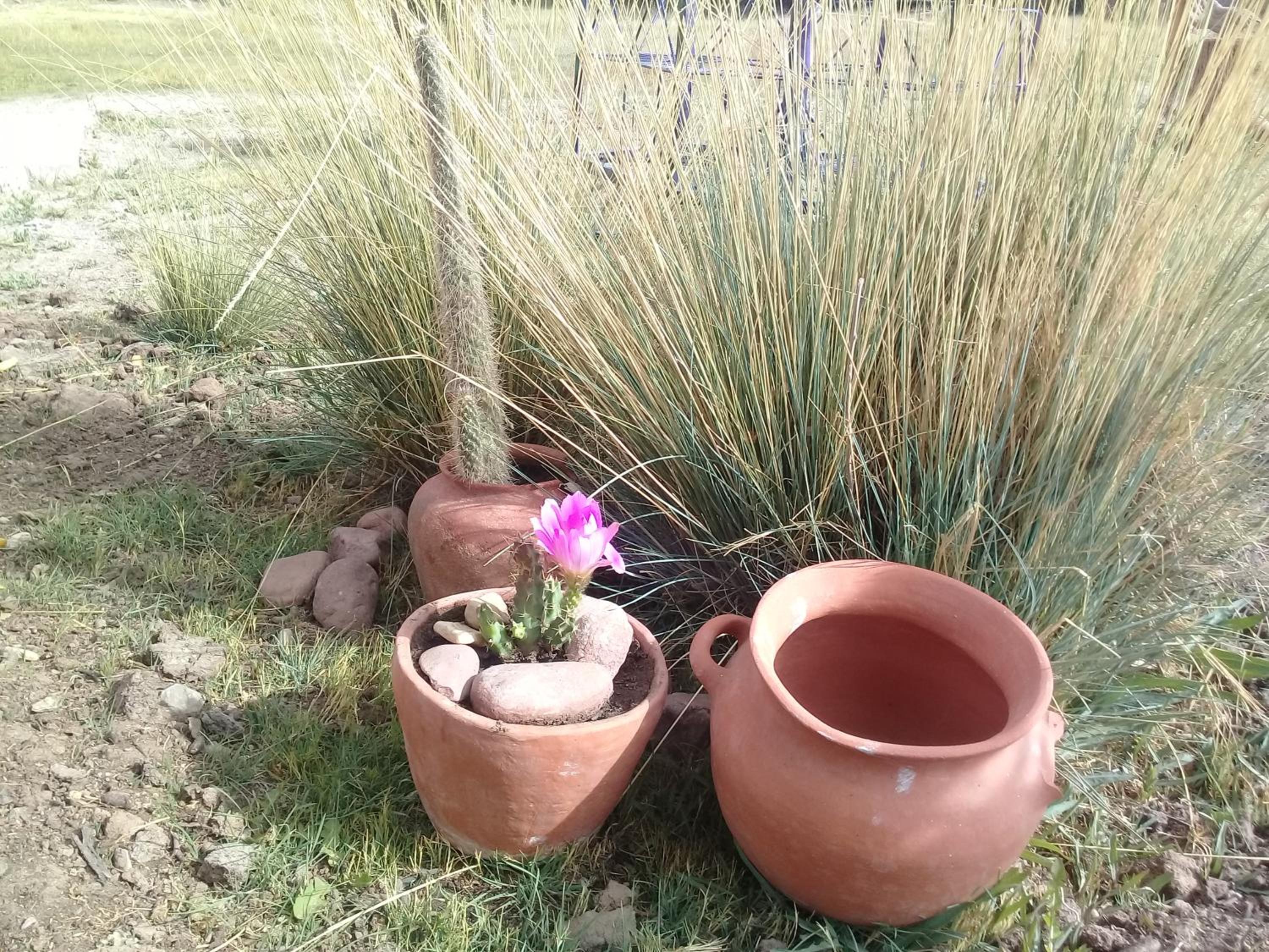 Cabaña El Cardón,casita en el campo quebradeño