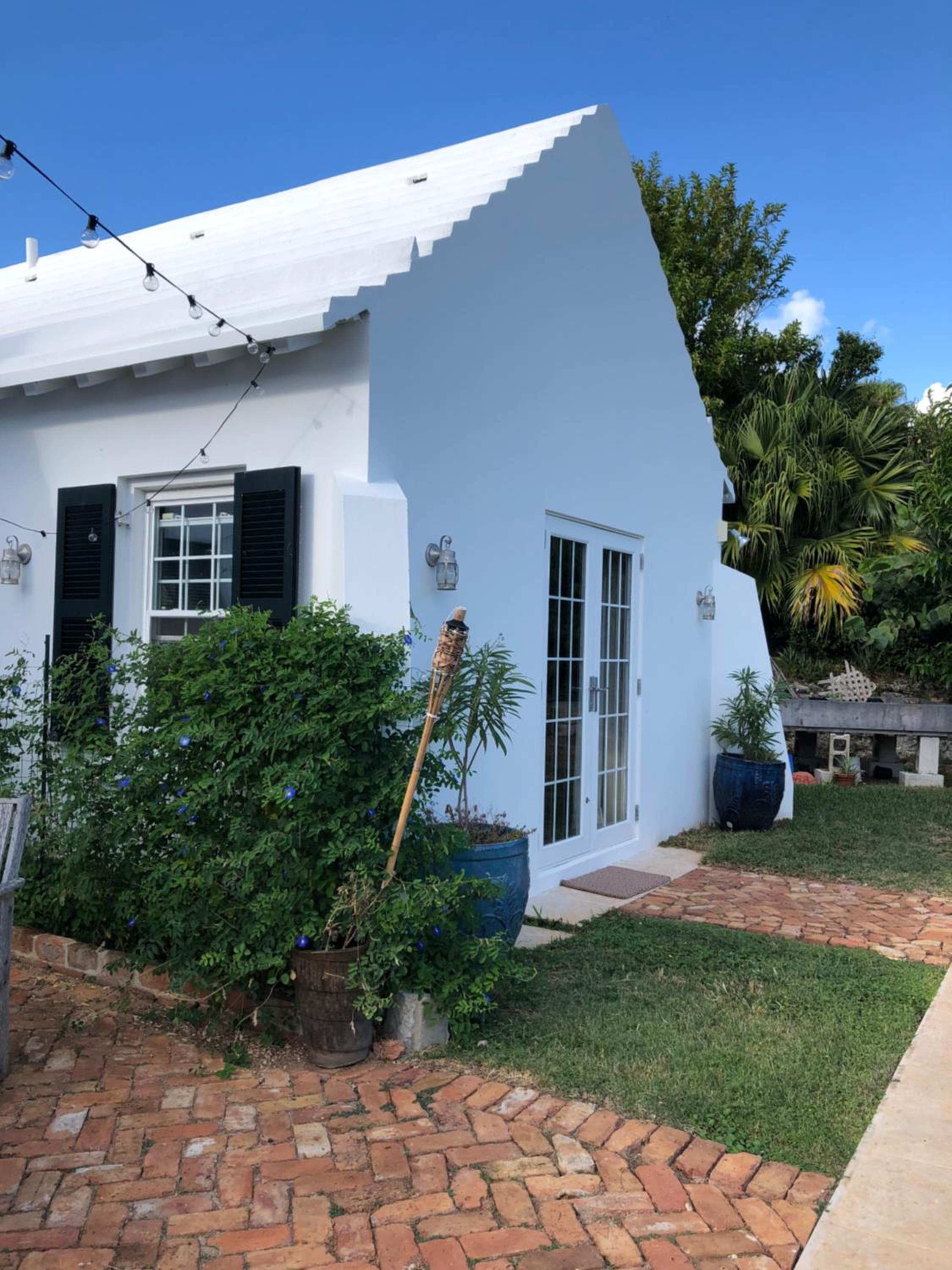 Wild Bird Cottage
