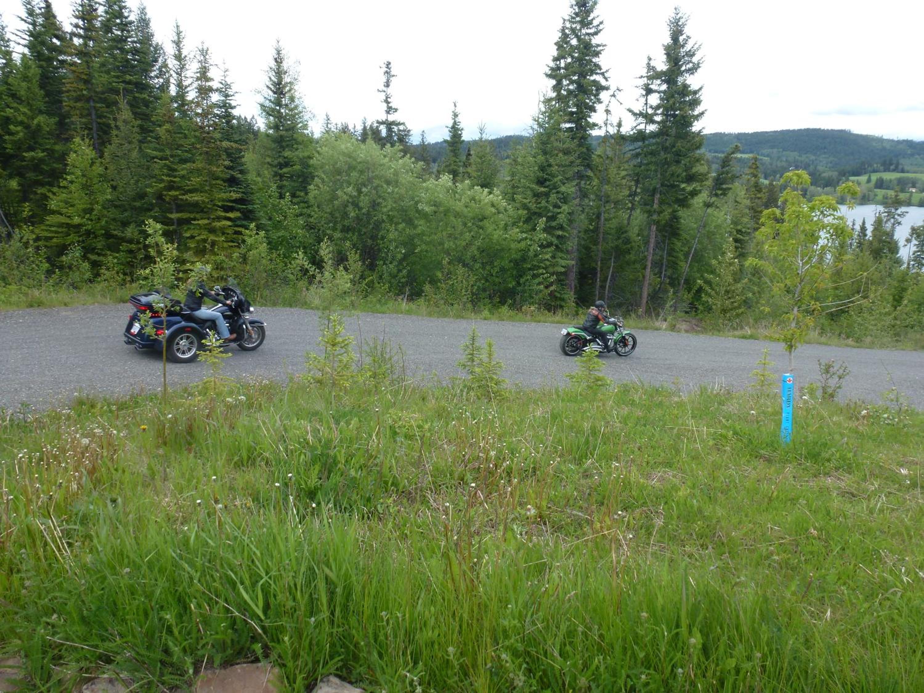 Little Black Bear Lodge/B&B
