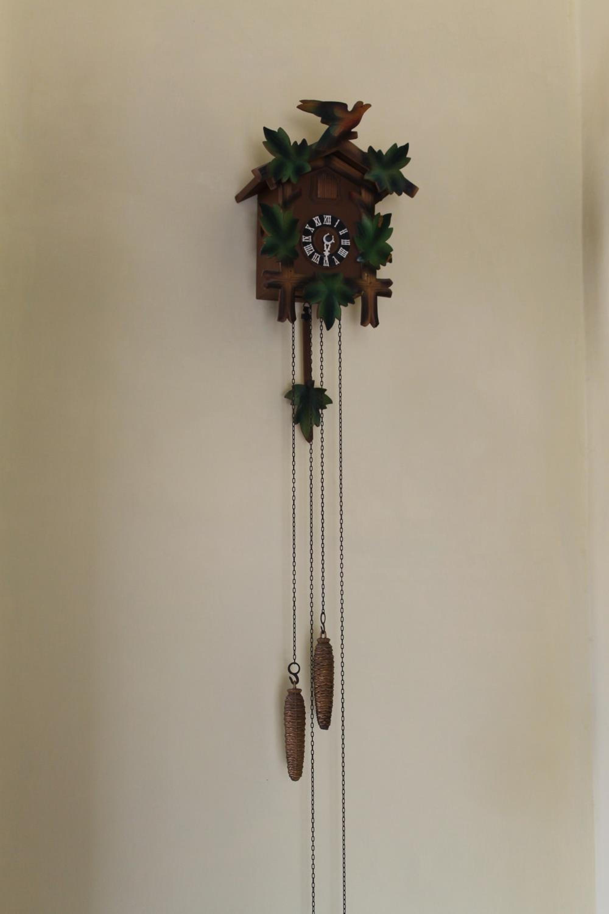 Photo 51