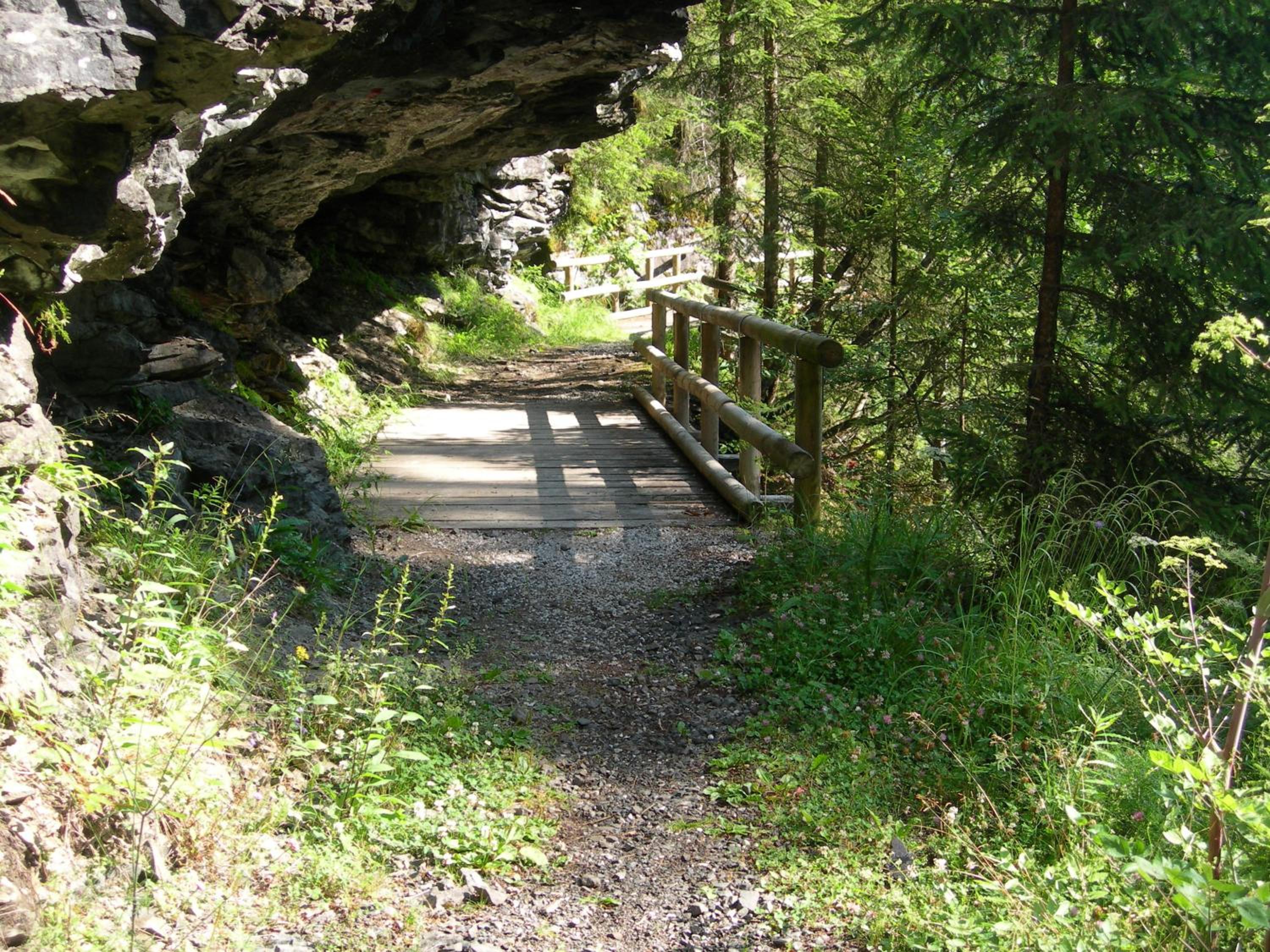 Photo 49
