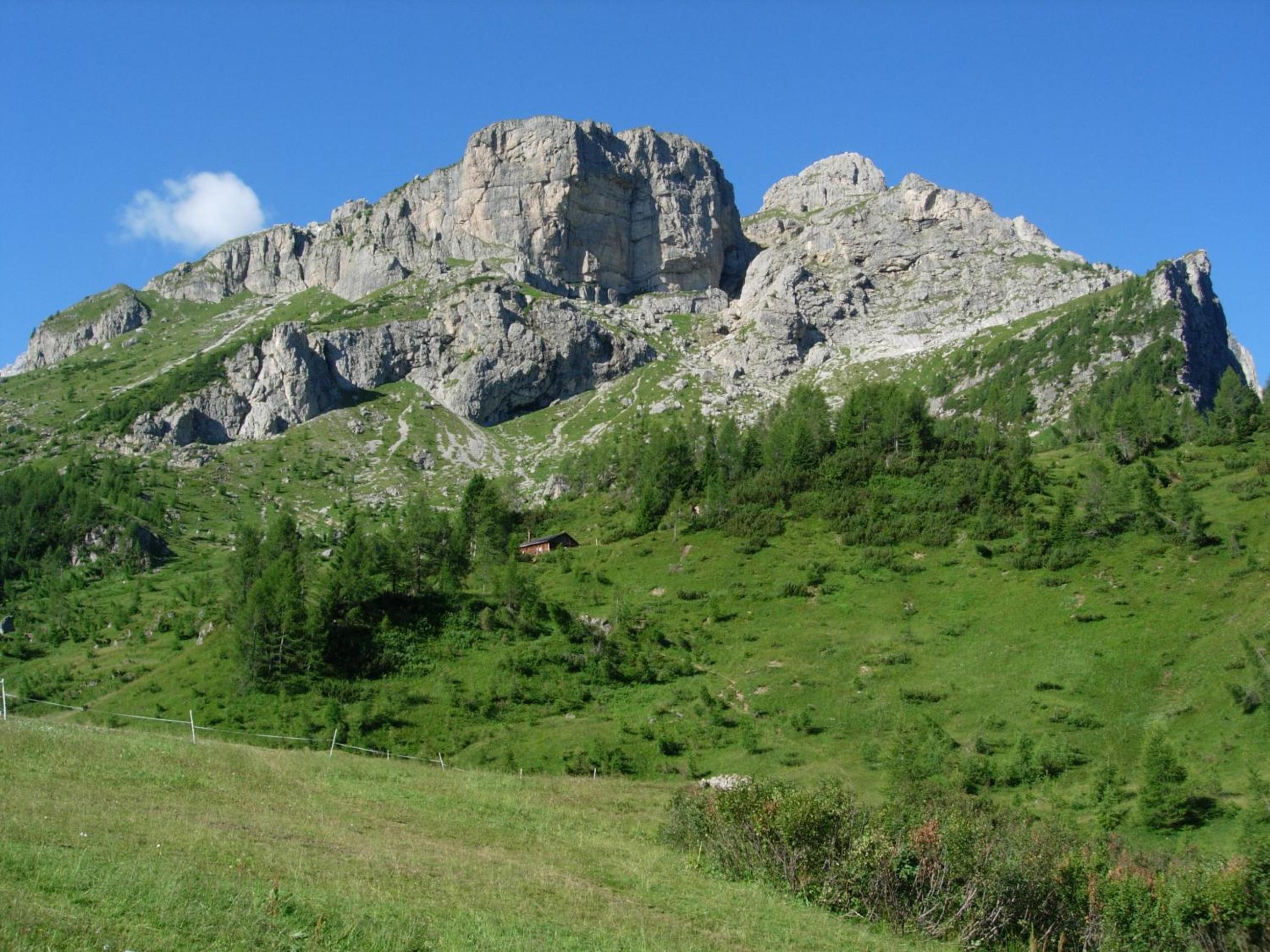 Photo 47