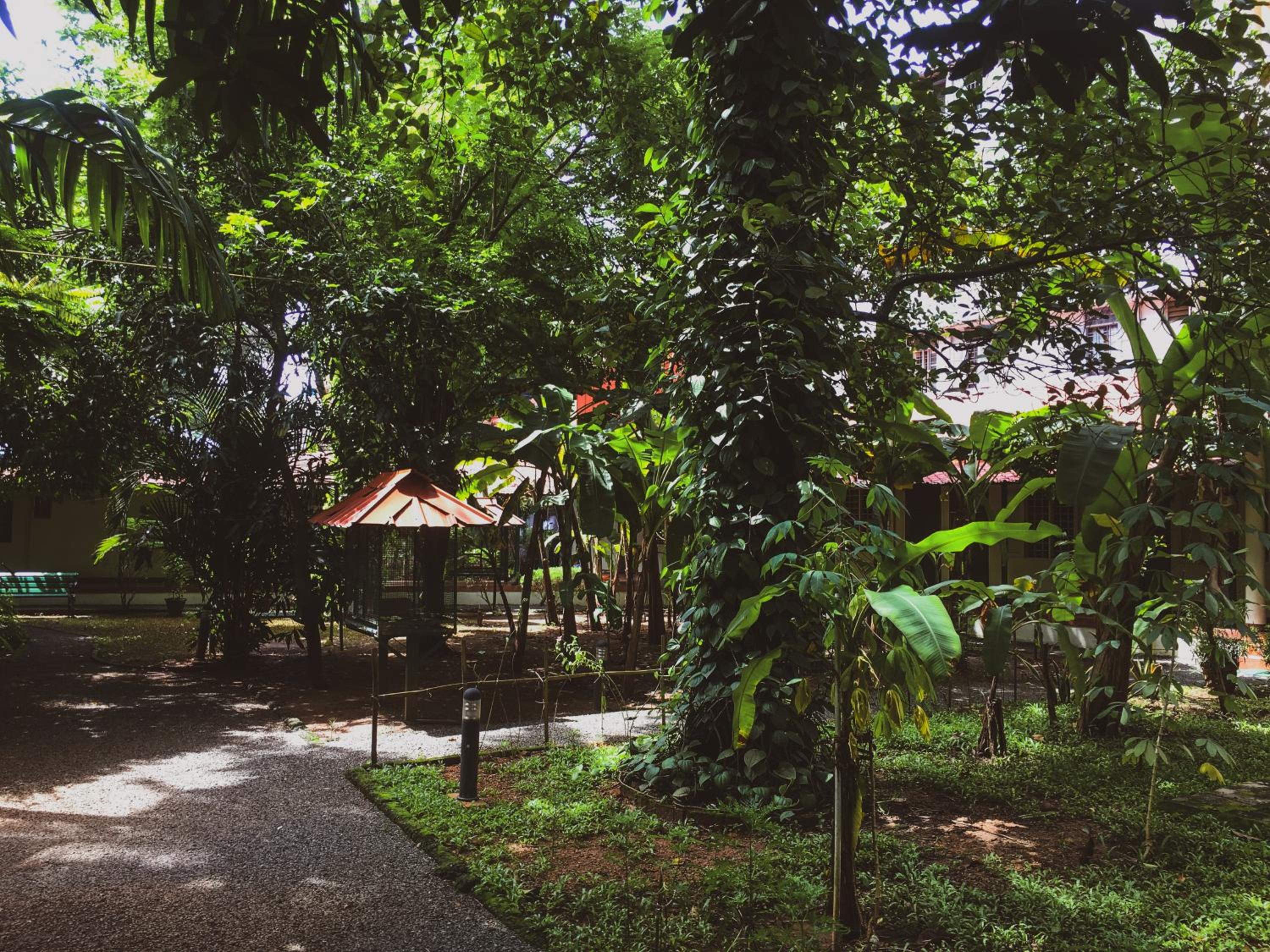 Palm Grove Service Villa